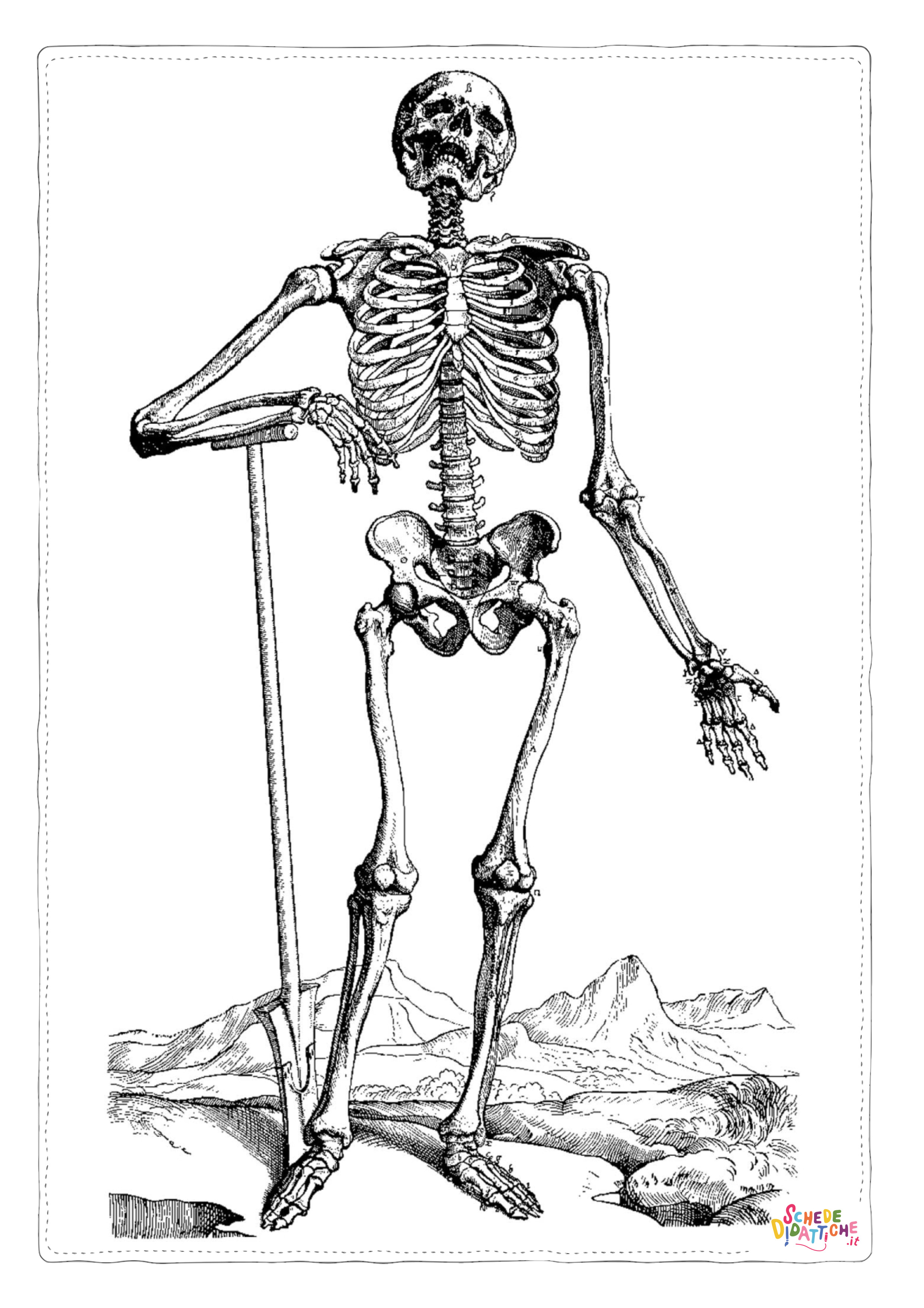 Disegno di parti del corpo da stampare e colorare 8