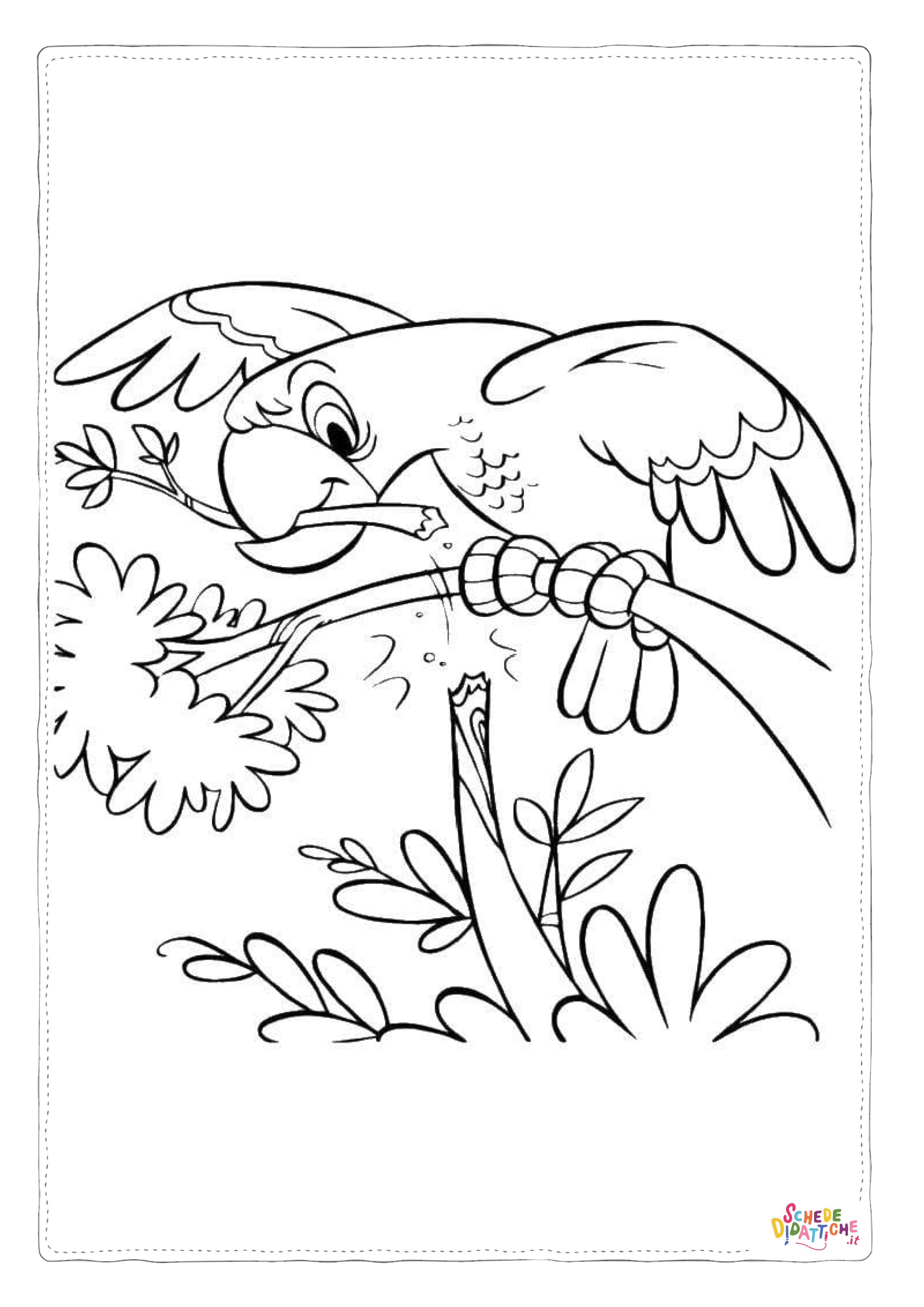 Disegno "Disegno di pappagallo da stampare e colorare 83" Disegno di pappagallo da stampare e colorare 83