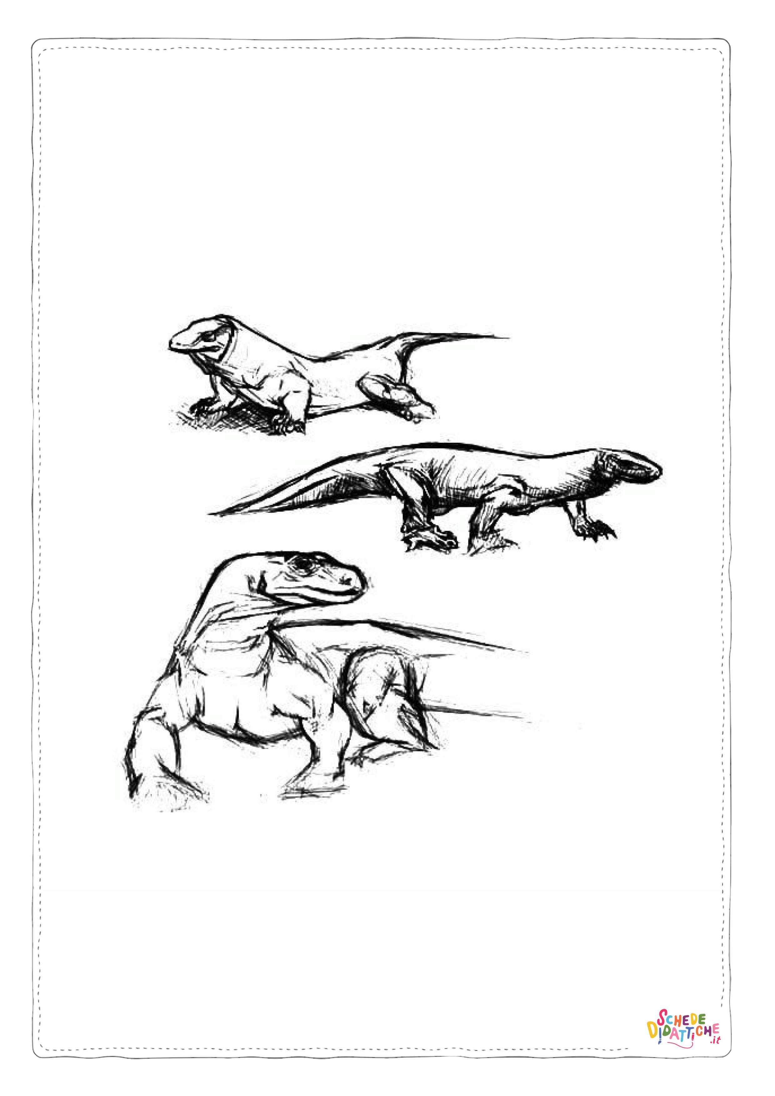 Disegno di iguana da stampare e colorare 5