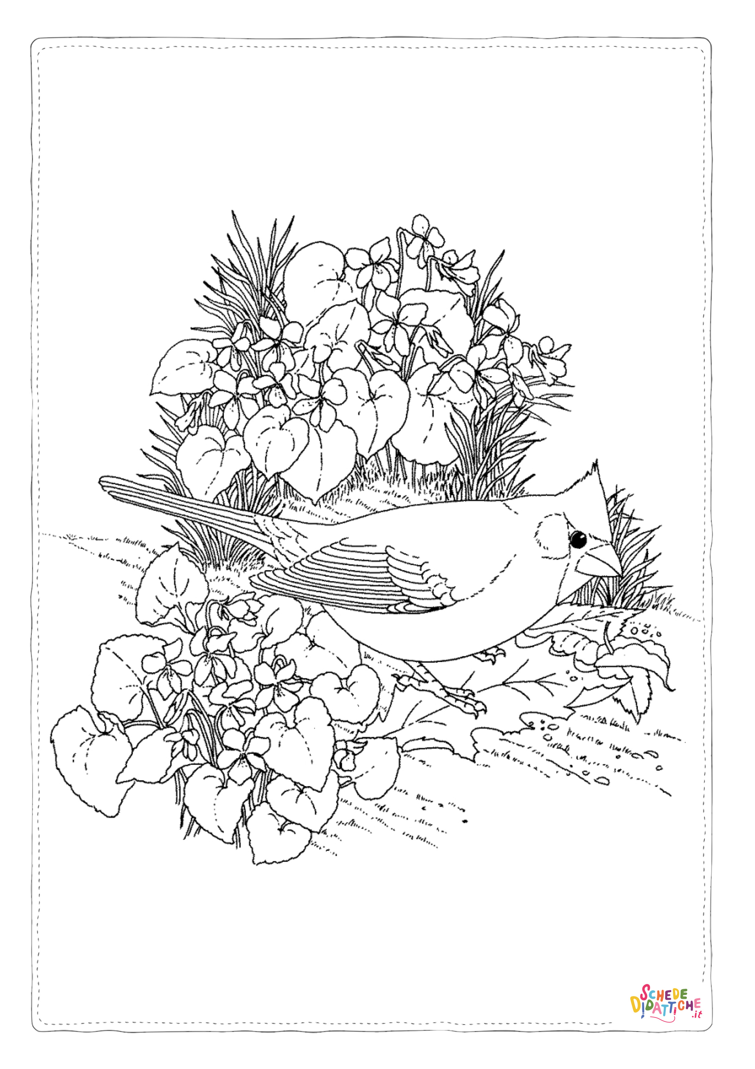Disegno "Disegno di passero da stampare e colorare 94" Disegno di passero da stampare e colorare 94