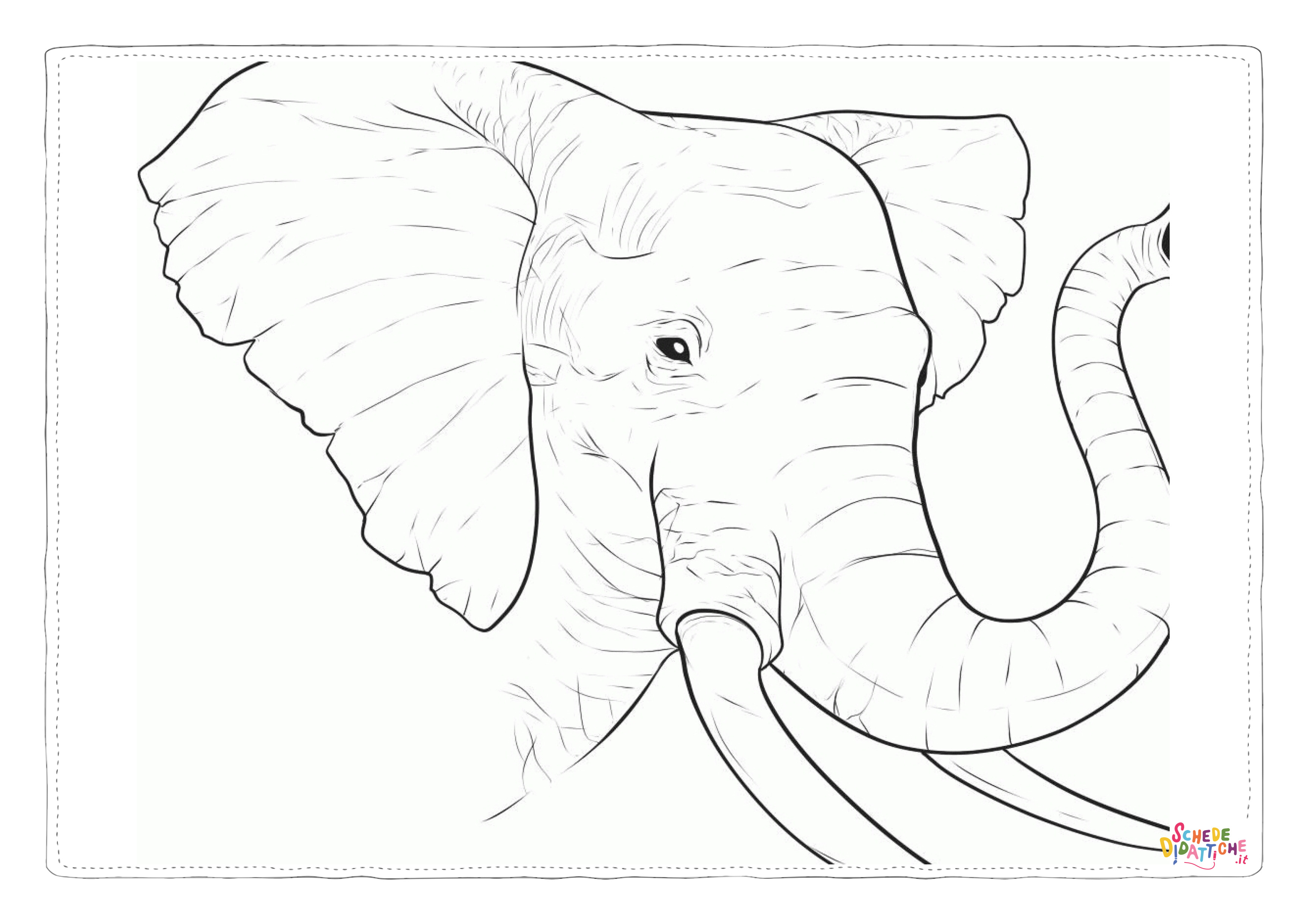 Disegno "Disegno di elefante da stampare e colorare 103" Disegno di elefante da stampare e colorare 103
