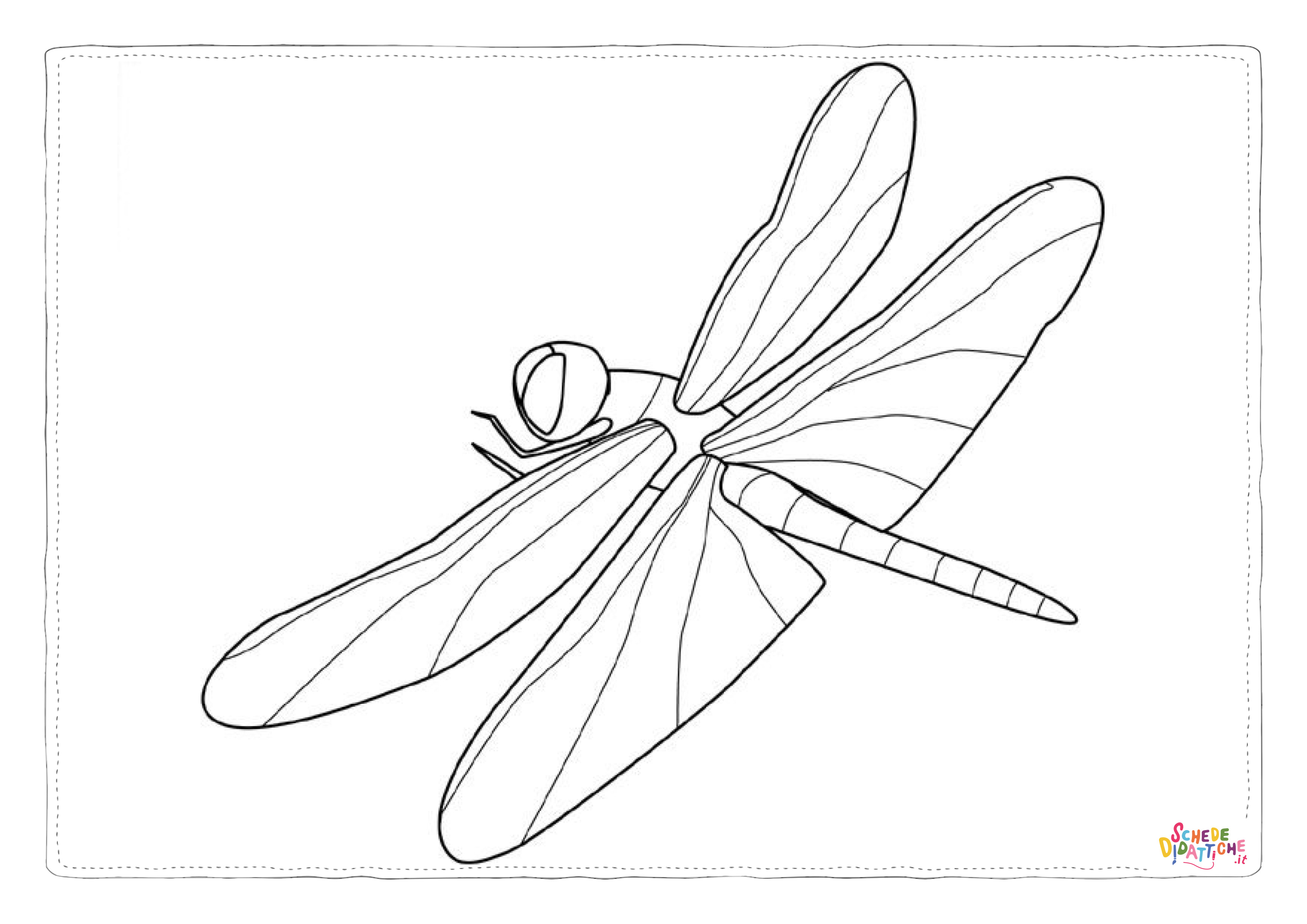 Disegno di libellula da stampare e colorare 11