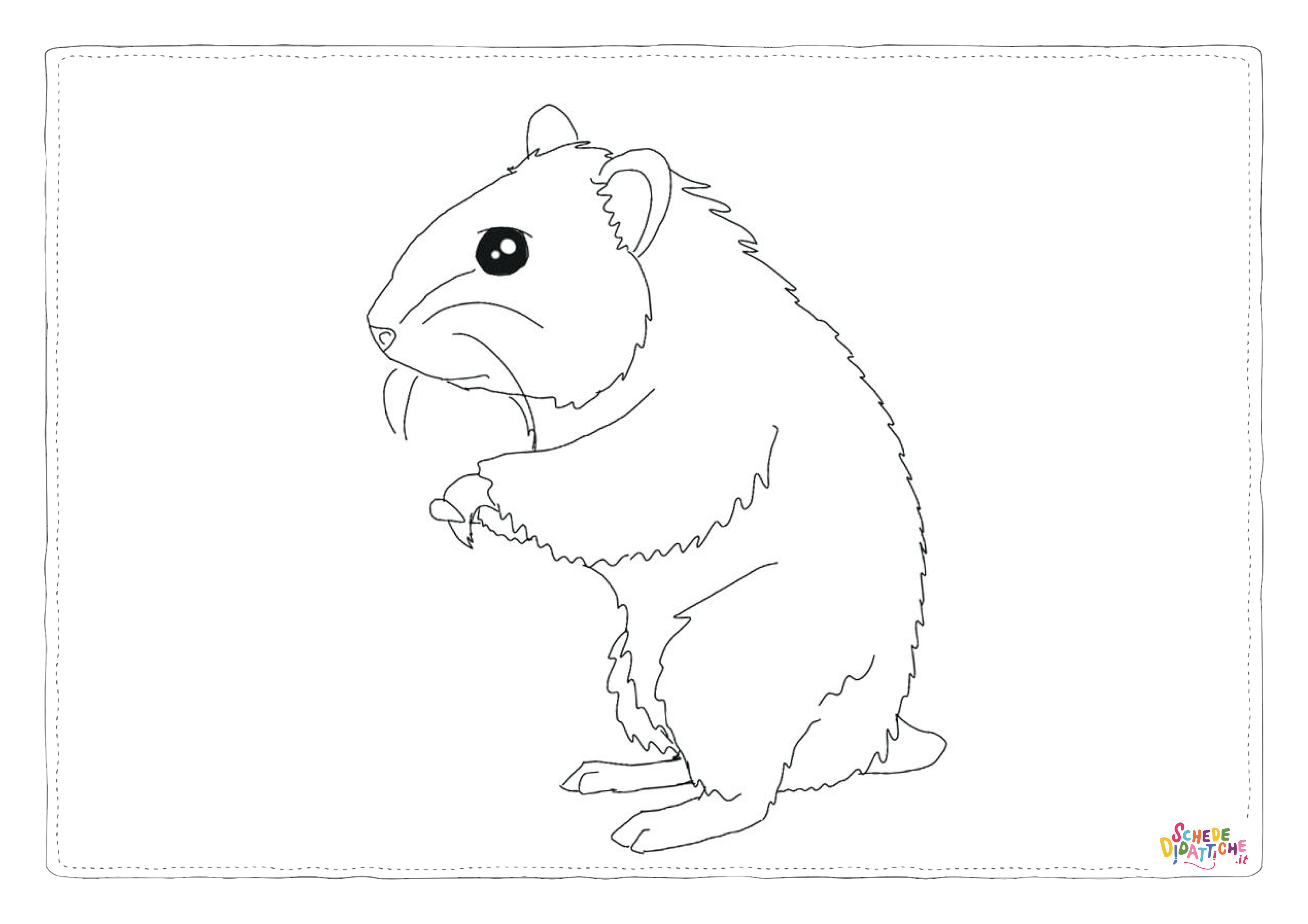 Disegno di criceto da stampare e colorare 7