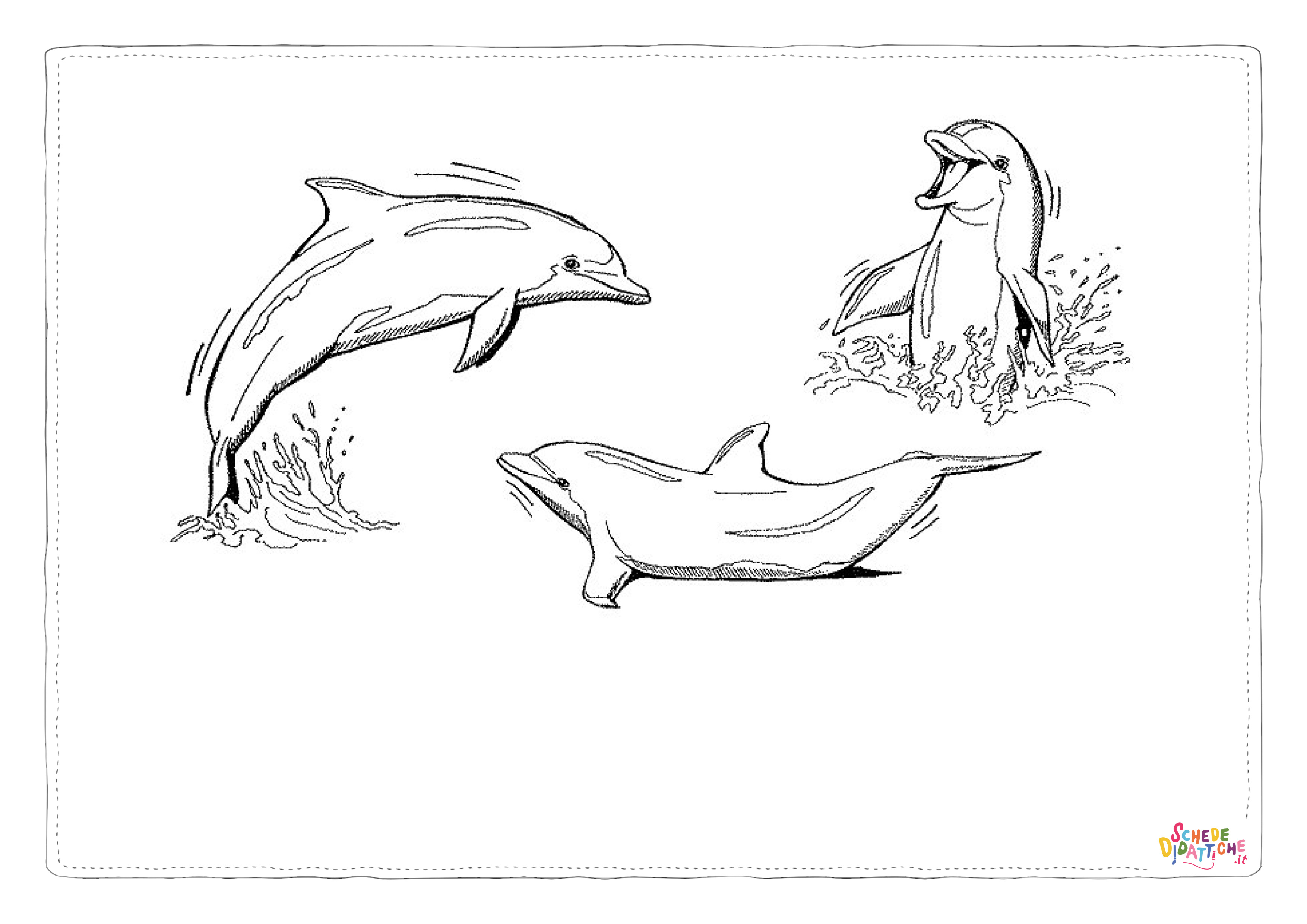Disegno "Disegno di delfino da stampare e colorare 46" Disegno di delfino da stampare e colorare 46