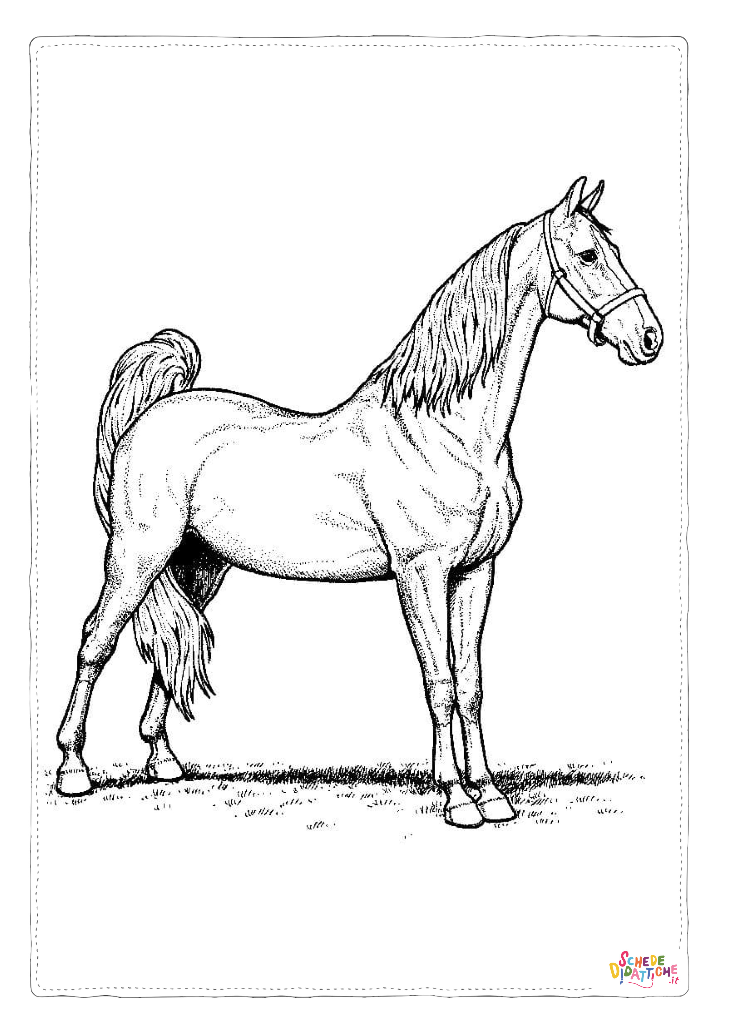 Disegno di cavallo da stampare e colorare 148
