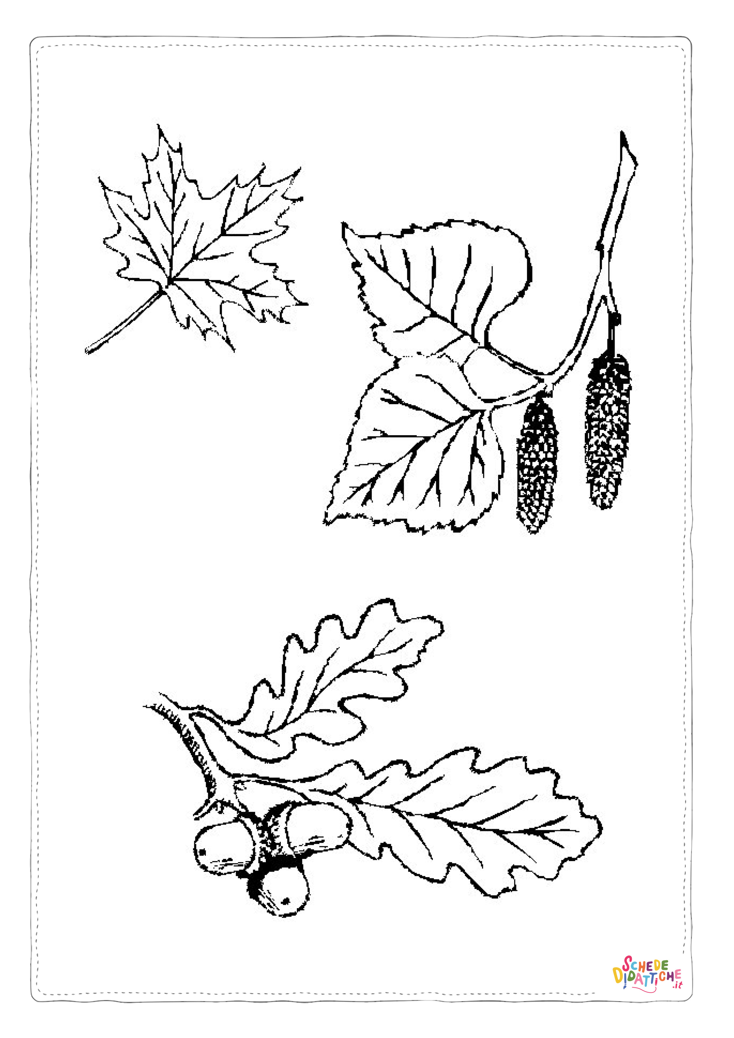 Disegno "Disegno di foglia da stampare e colorare 150" Disegno di foglia da stampare e colorare 150