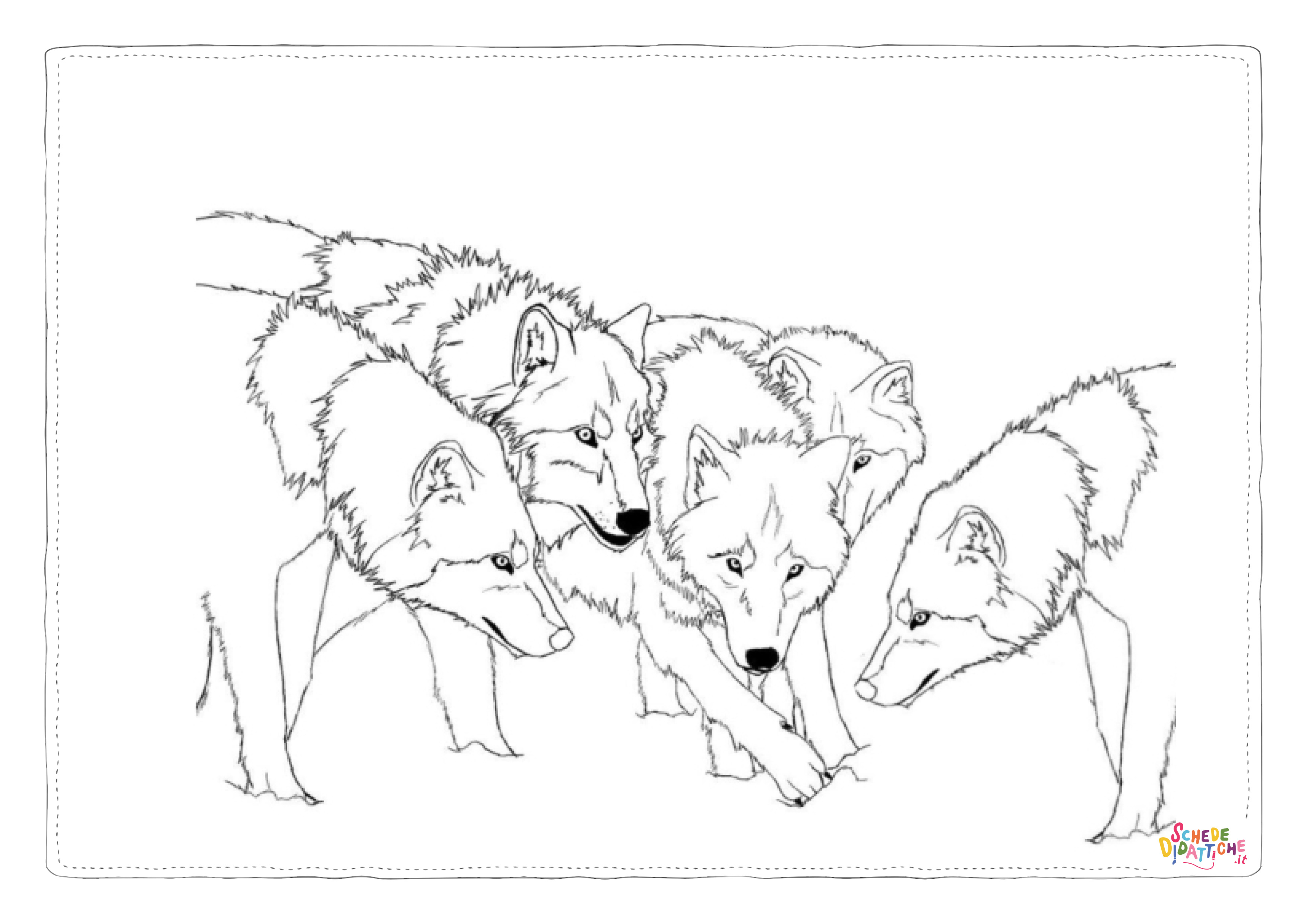 Disegno "Disegno di lupo da stampare e colorare 45" Disegno di lupo da stampare e colorare 45