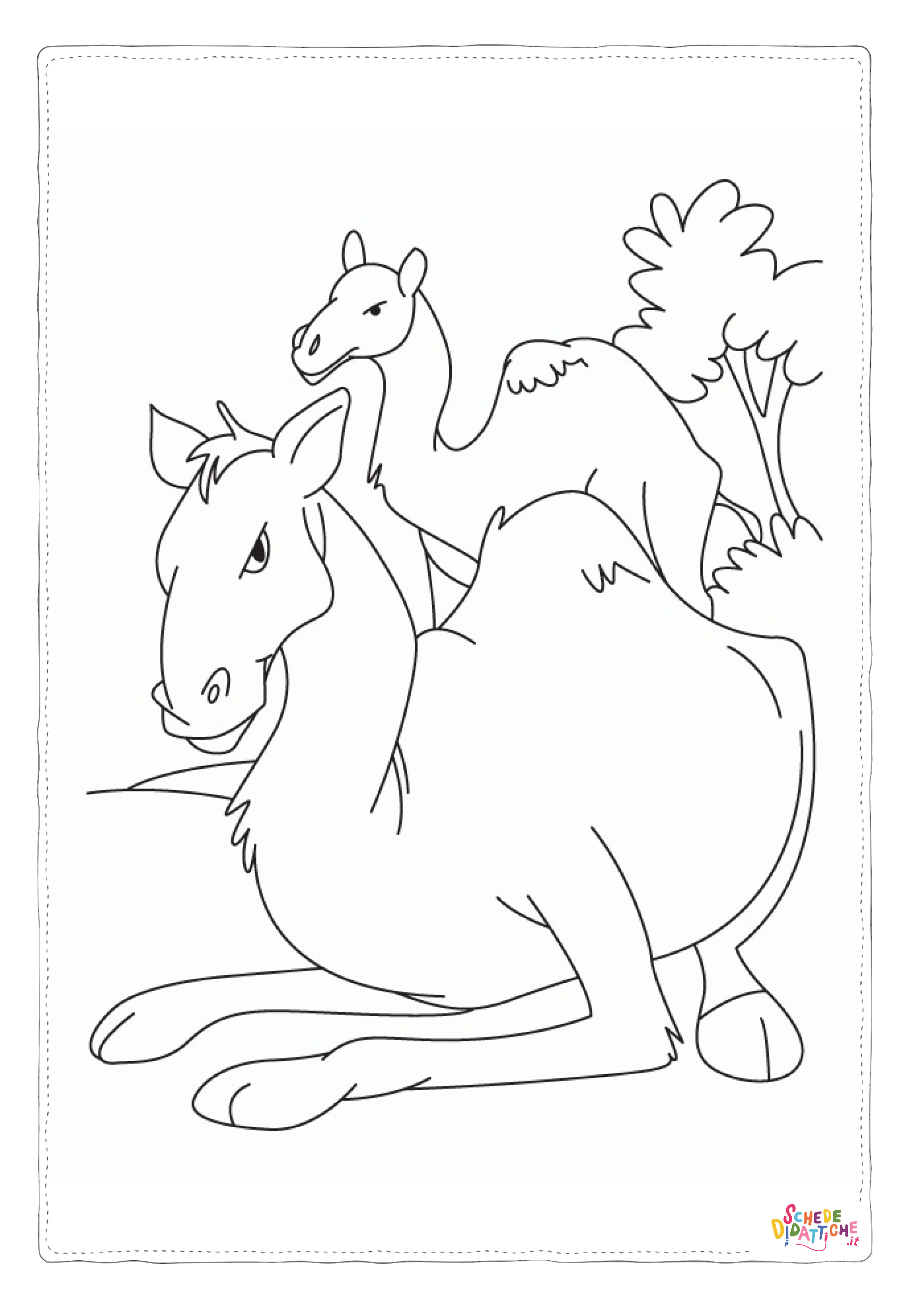 Disegno di dromedario da stampare e colorare 28