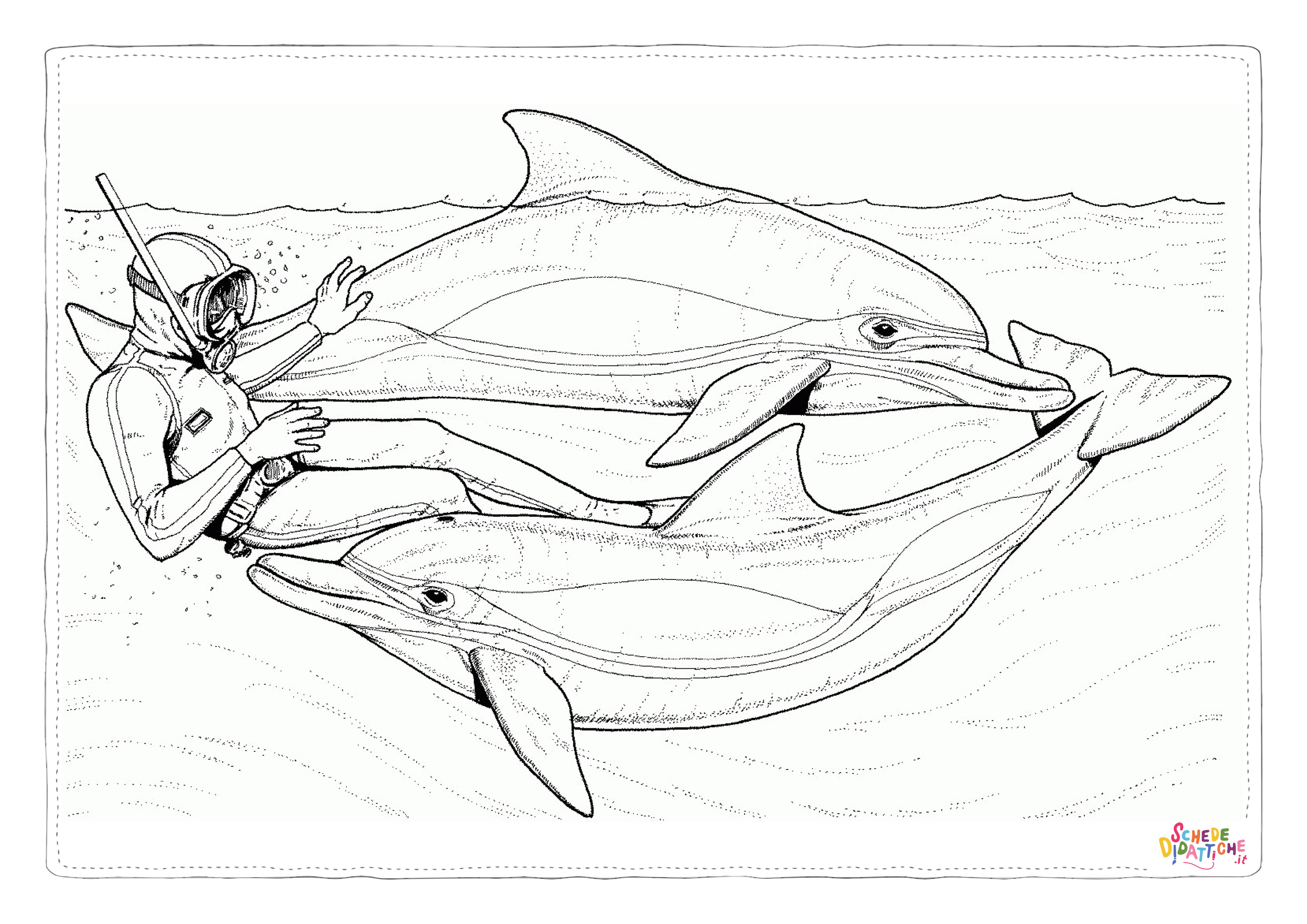 Disegno "Disegno di delfino da stampare e colorare 19" Disegno di delfino da stampare e colorare 19