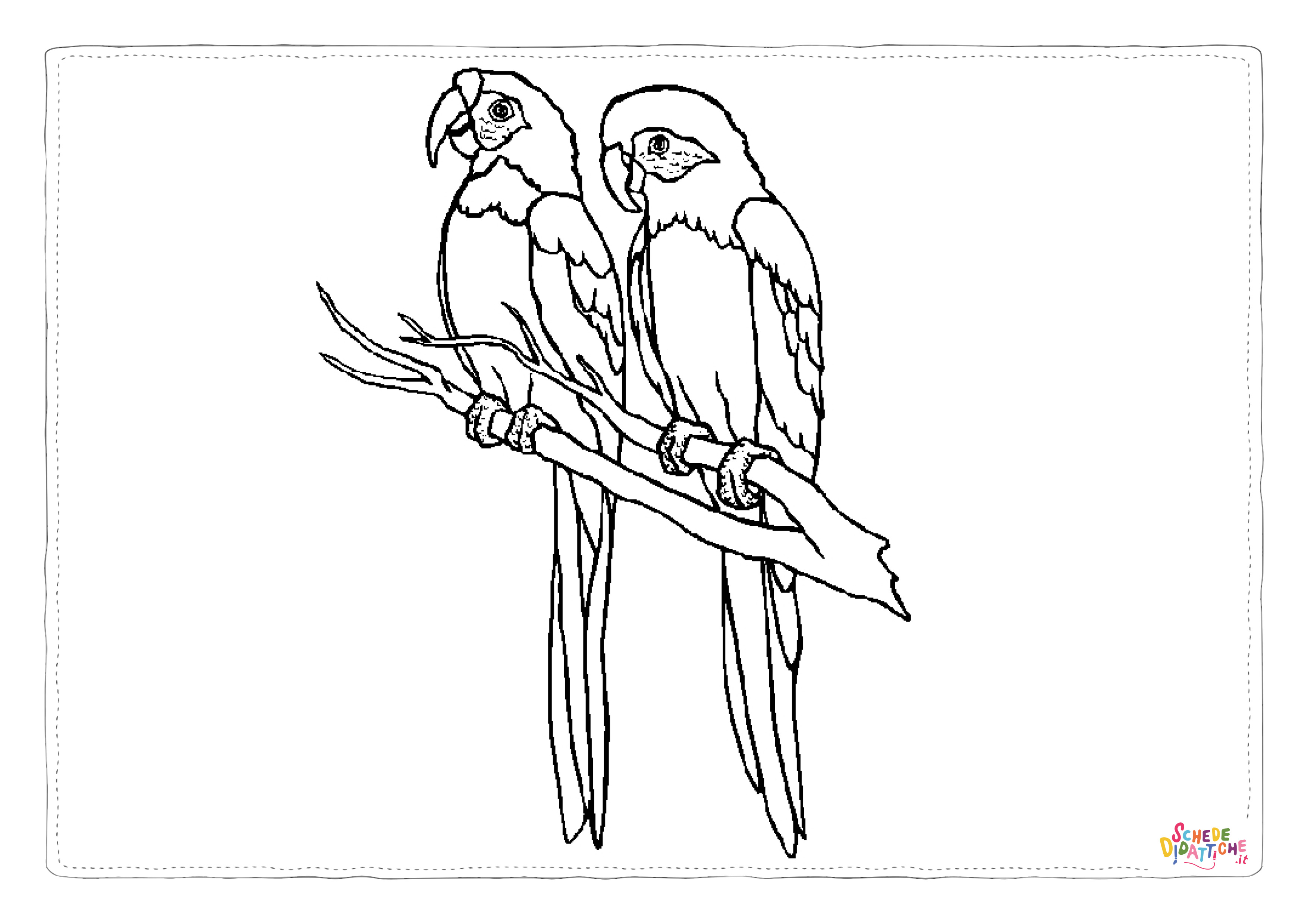 Disegno "Disegno di pappagallo da stampare e colorare 3" Disegno di pappagallo da stampare e colorare 3