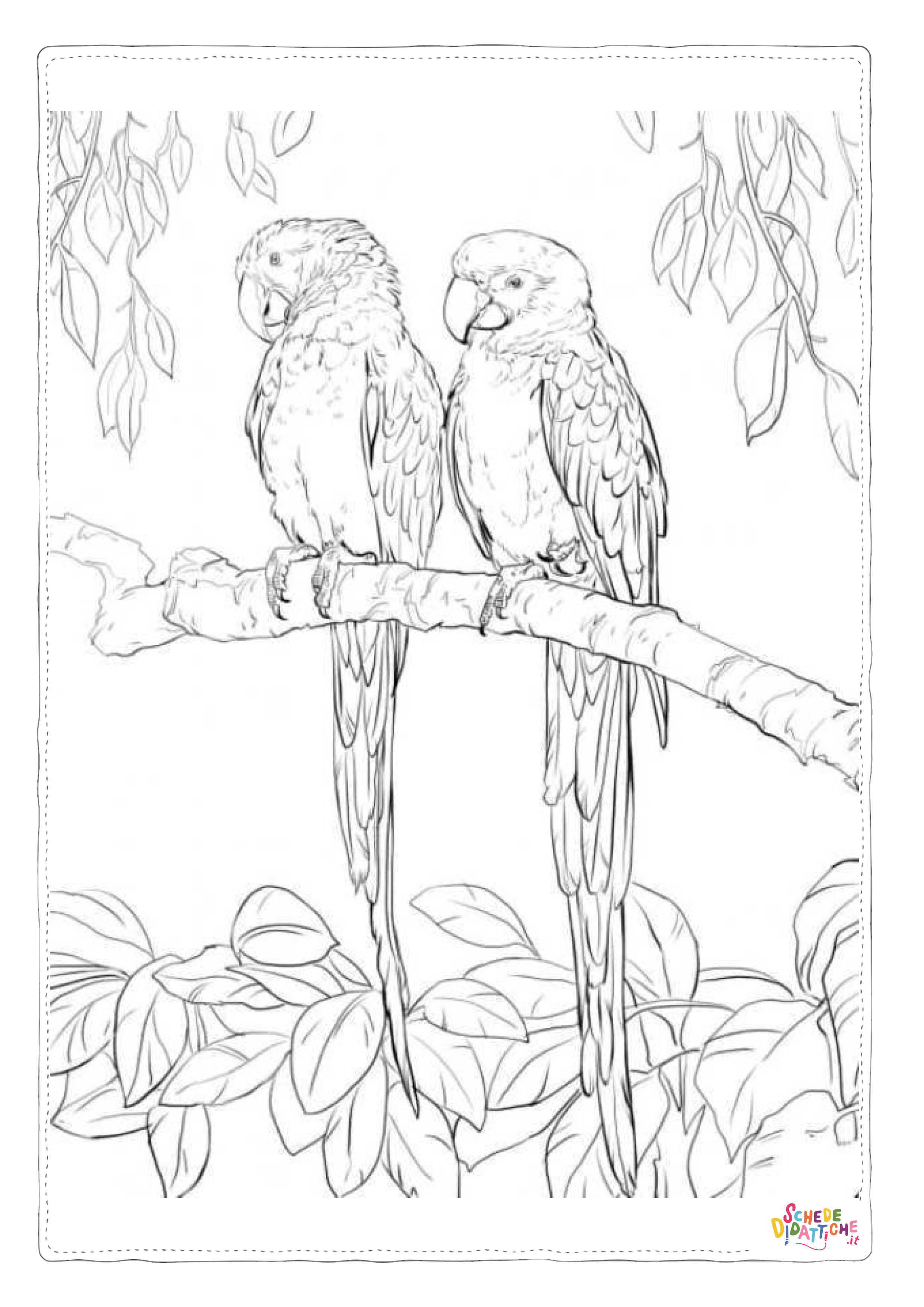 Disegno "Disegno di pappagallo da stampare e colorare 140" Disegno di pappagallo da stampare e colorare 140