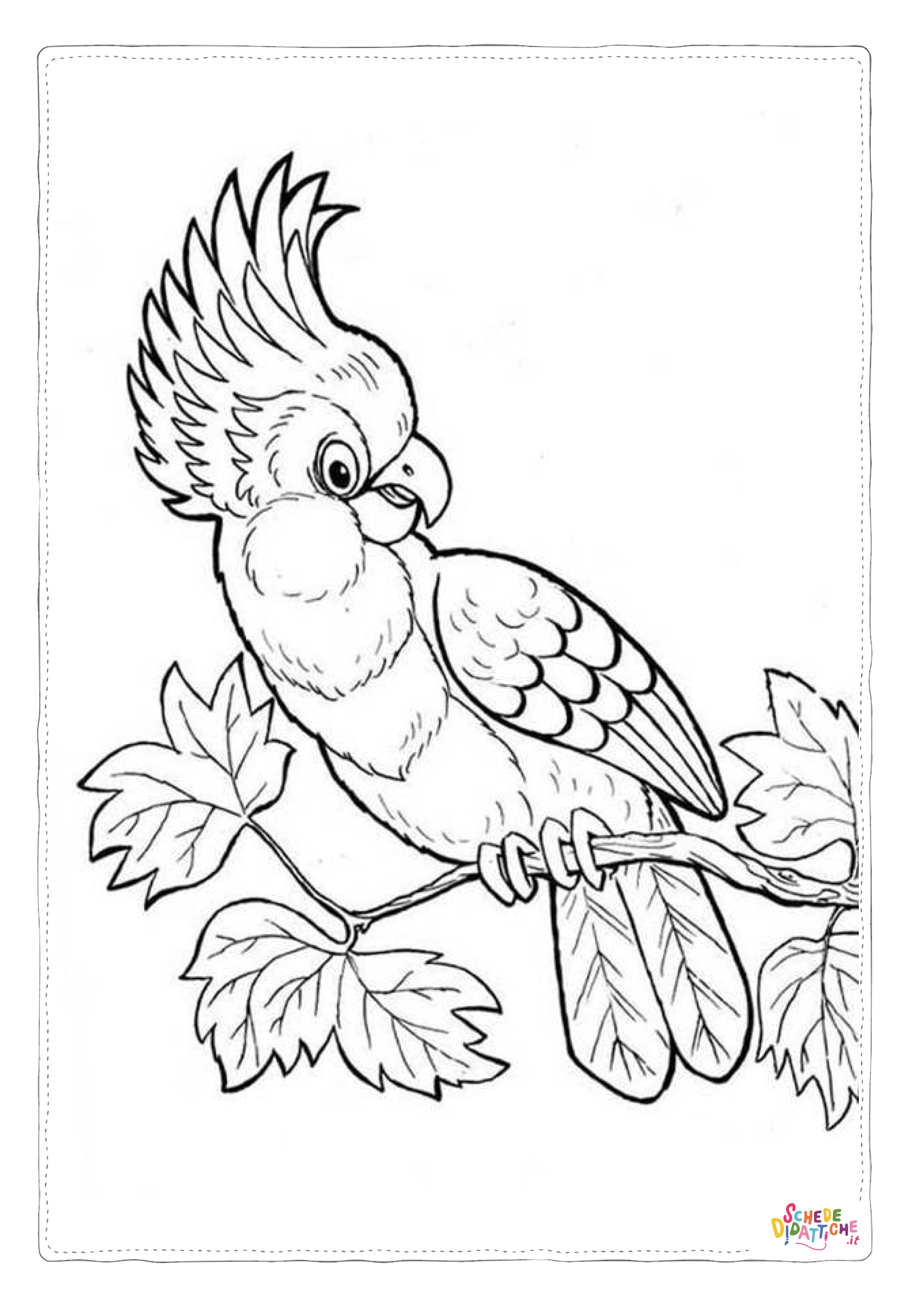 Disegno "Disegno di pappagallo da stampare e colorare 20" Disegno di pappagallo da stampare e colorare 20