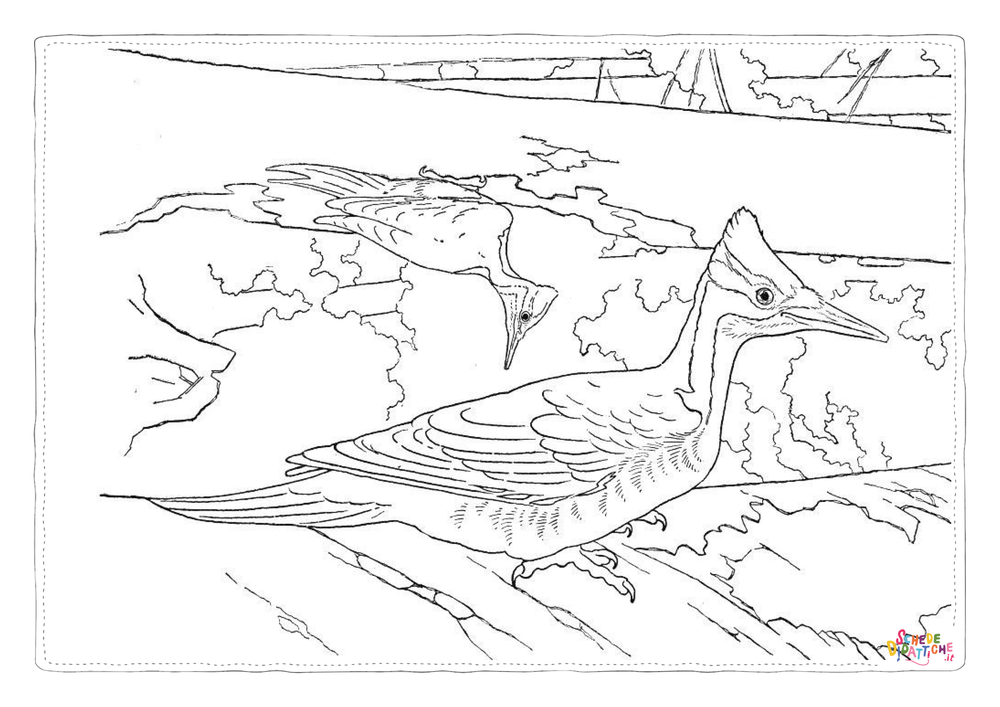 Disegno "Disegno di passero da stampare e colorare 59" Disegno di passero da stampare e colorare 59