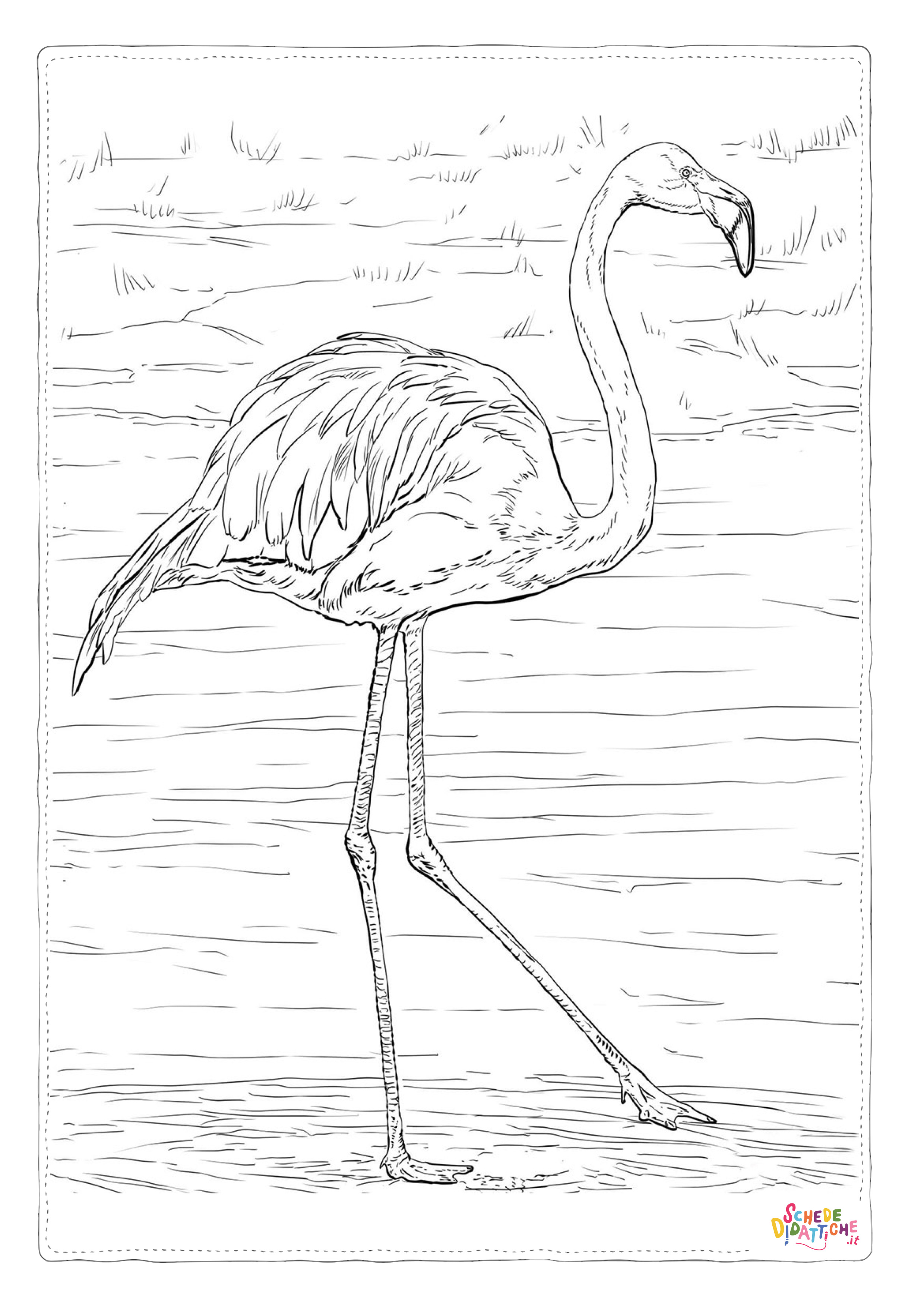 Disegno "Disegno di fenicottero da stampare e colorare 29" Disegno di fenicottero da stampare e colorare 29