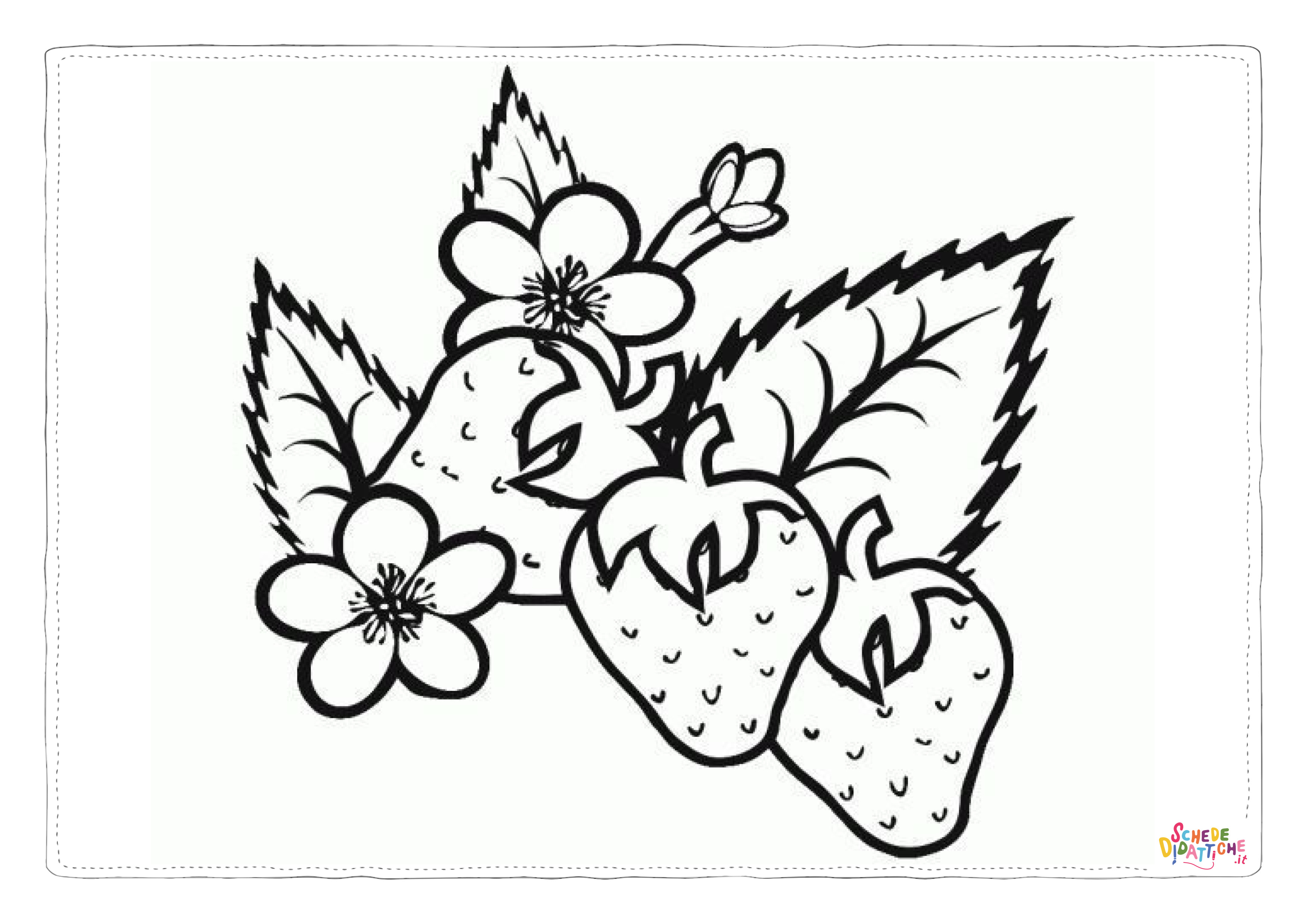 Disegno "Disegno di fragola da stampare e colorare 30" Disegno di fragola da stampare e colorare 30