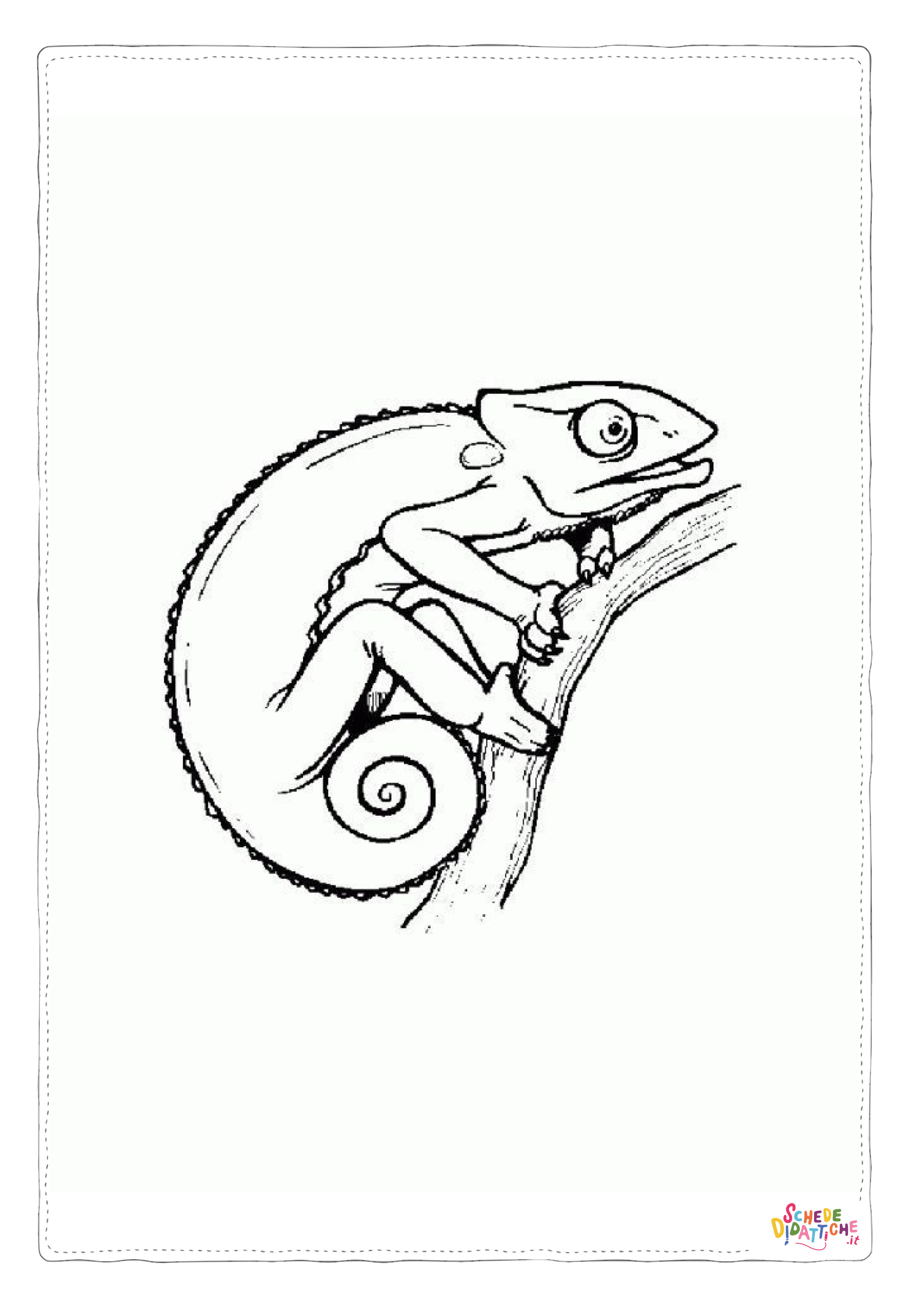 Disegno "Disegno di camaleonte da stampare e colorare 7" Disegno di camaleonte da stampare e colorare 7