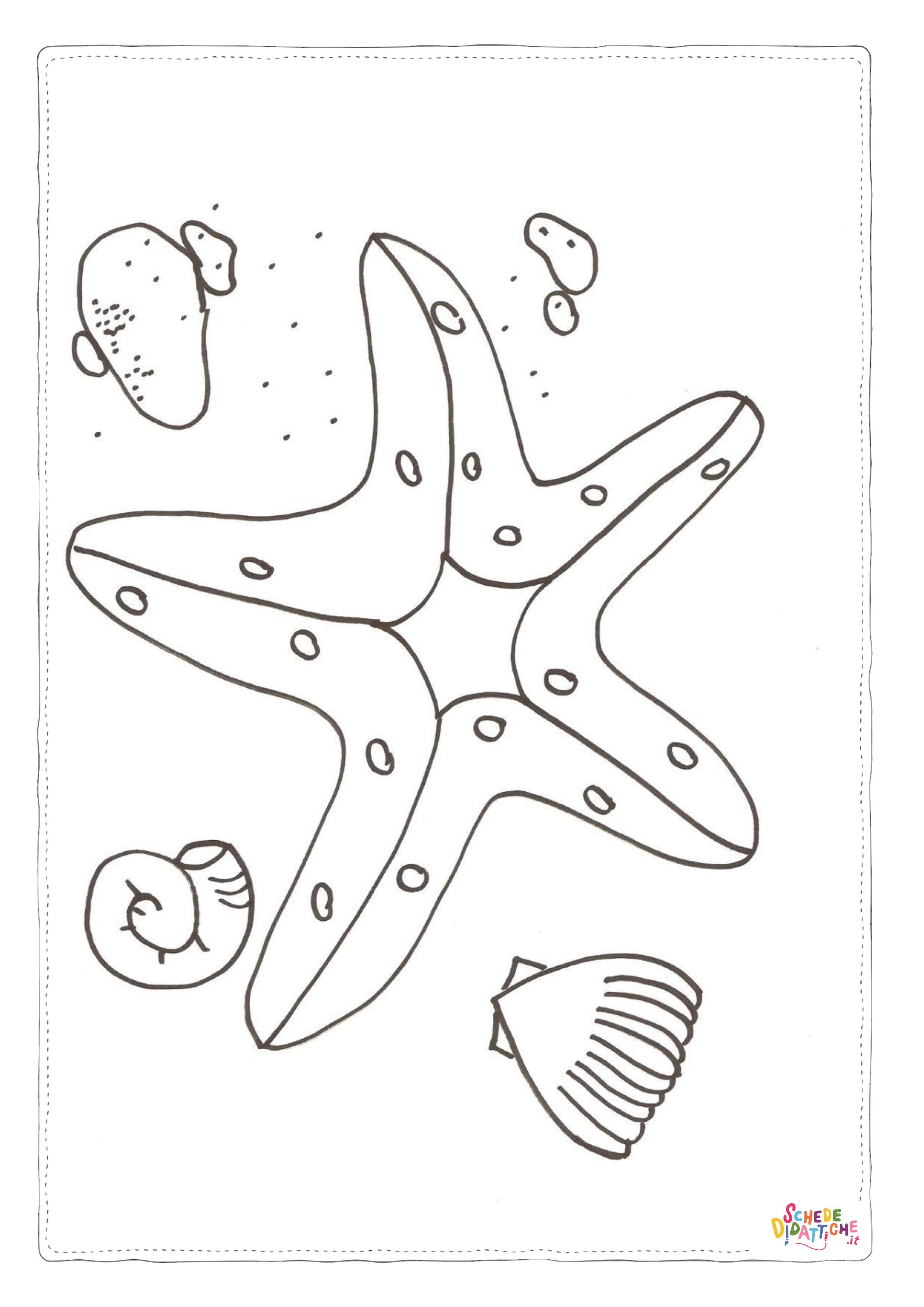 Disegno "Disegno di stella marina da stampare e colorare 10" Disegno di stella marina da stampare e colorare 10
