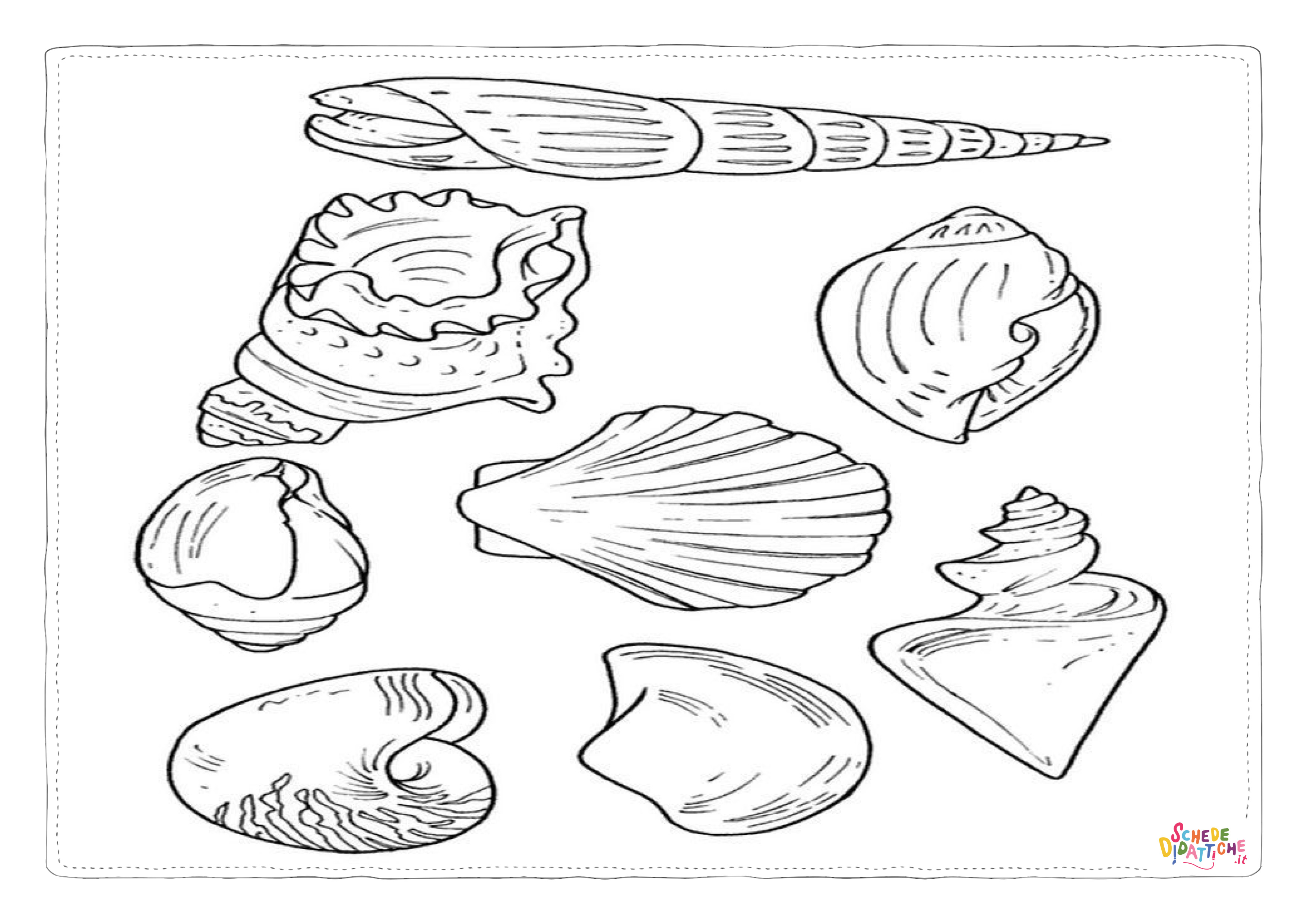 Disegno "Disegno di conchiglia da stampare e colorare 5" Disegno di conchiglia da stampare e colorare 5