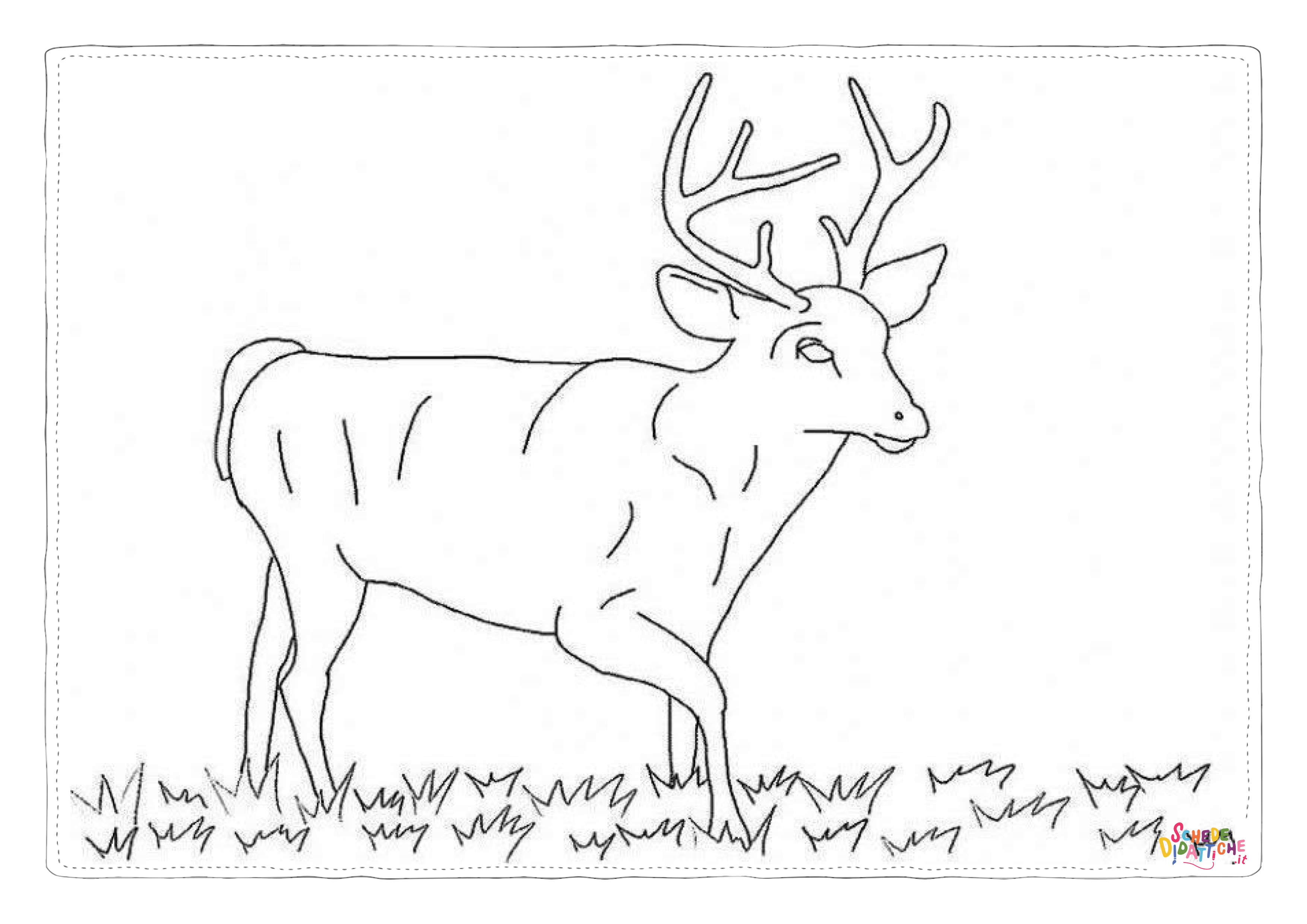 Disegno "Disegno di cervo da stampare e colorare 42" Disegno di cervo da stampare e colorare 42