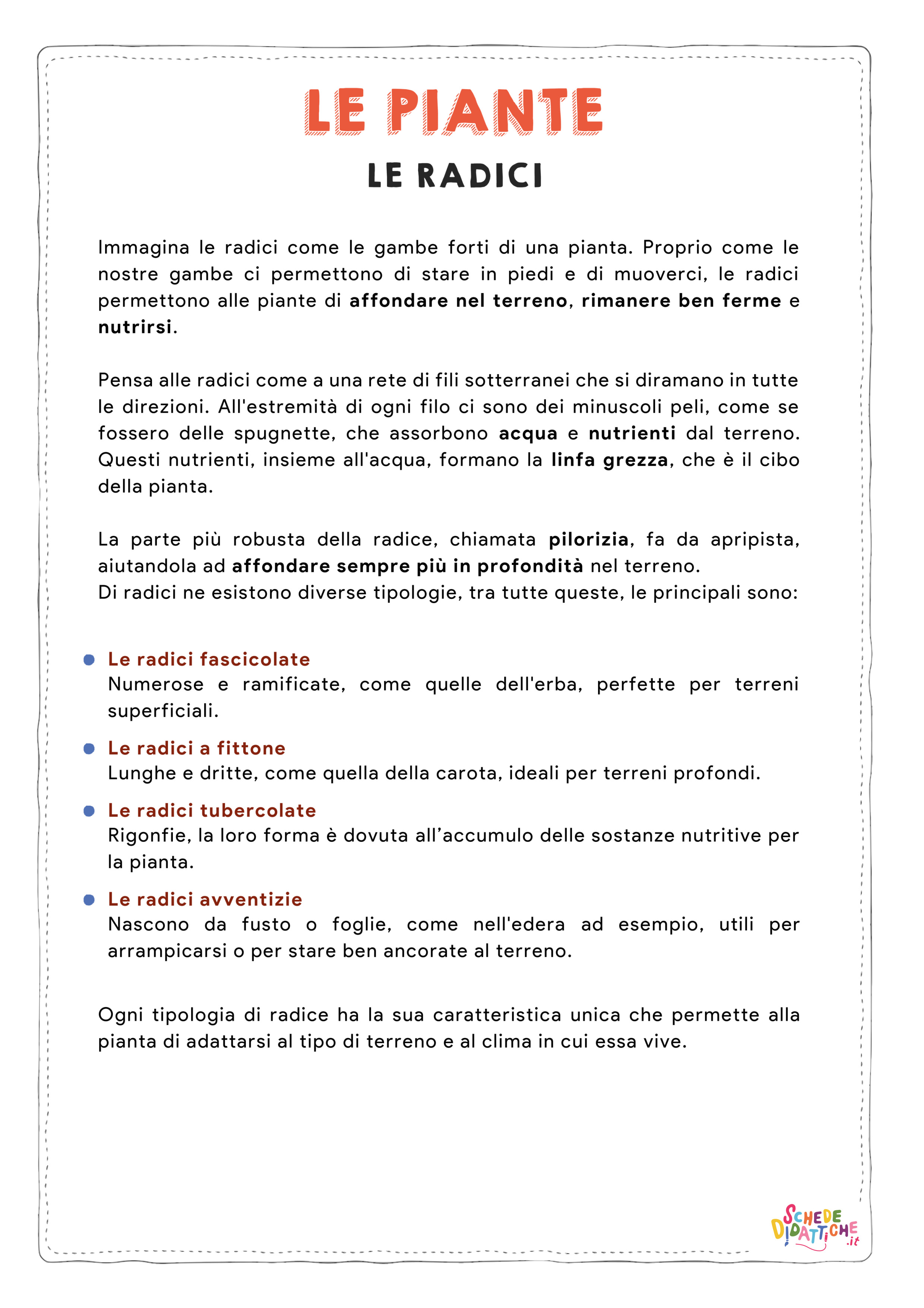 Disegno "Le piante - Le radici" Le piante - Le radici