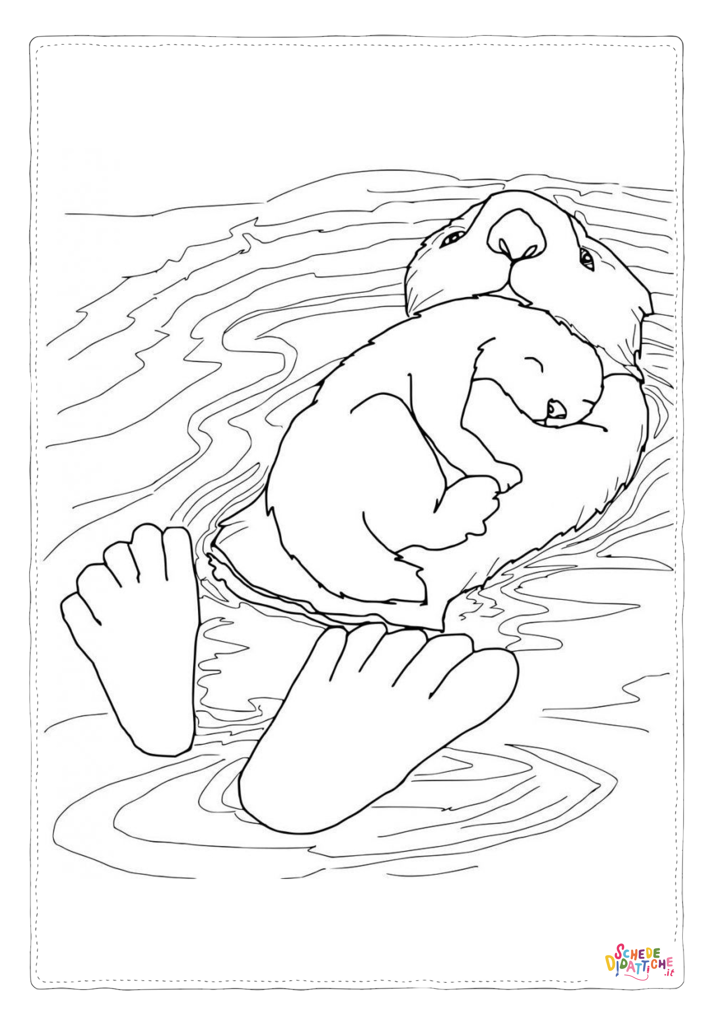 Disegno "Disegno di lontra da stampare e colorare 4" Disegno di lontra da stampare e colorare 4