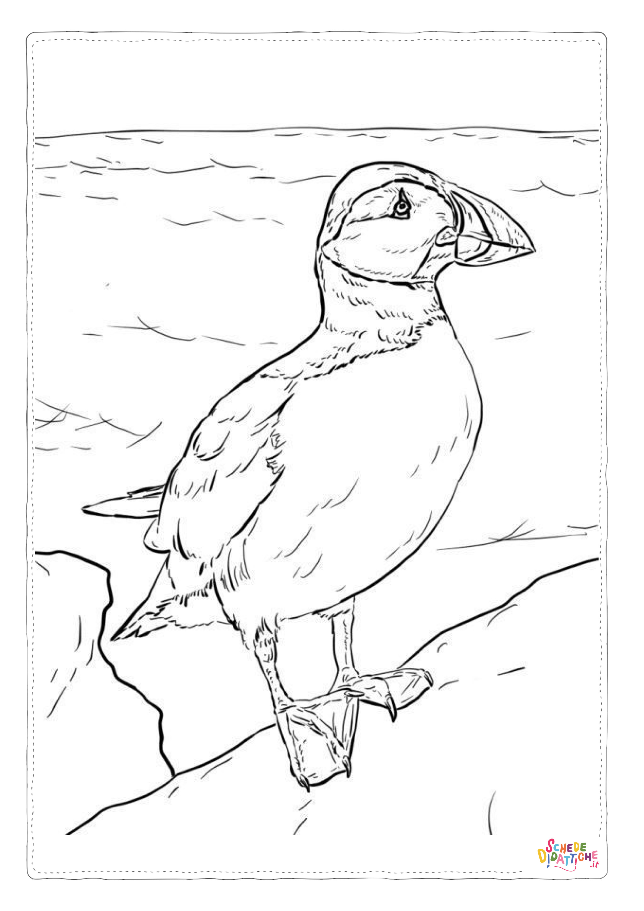 Disegno "Disegno di tucano da stampare e colorare 12" Disegno di tucano da stampare e colorare 12