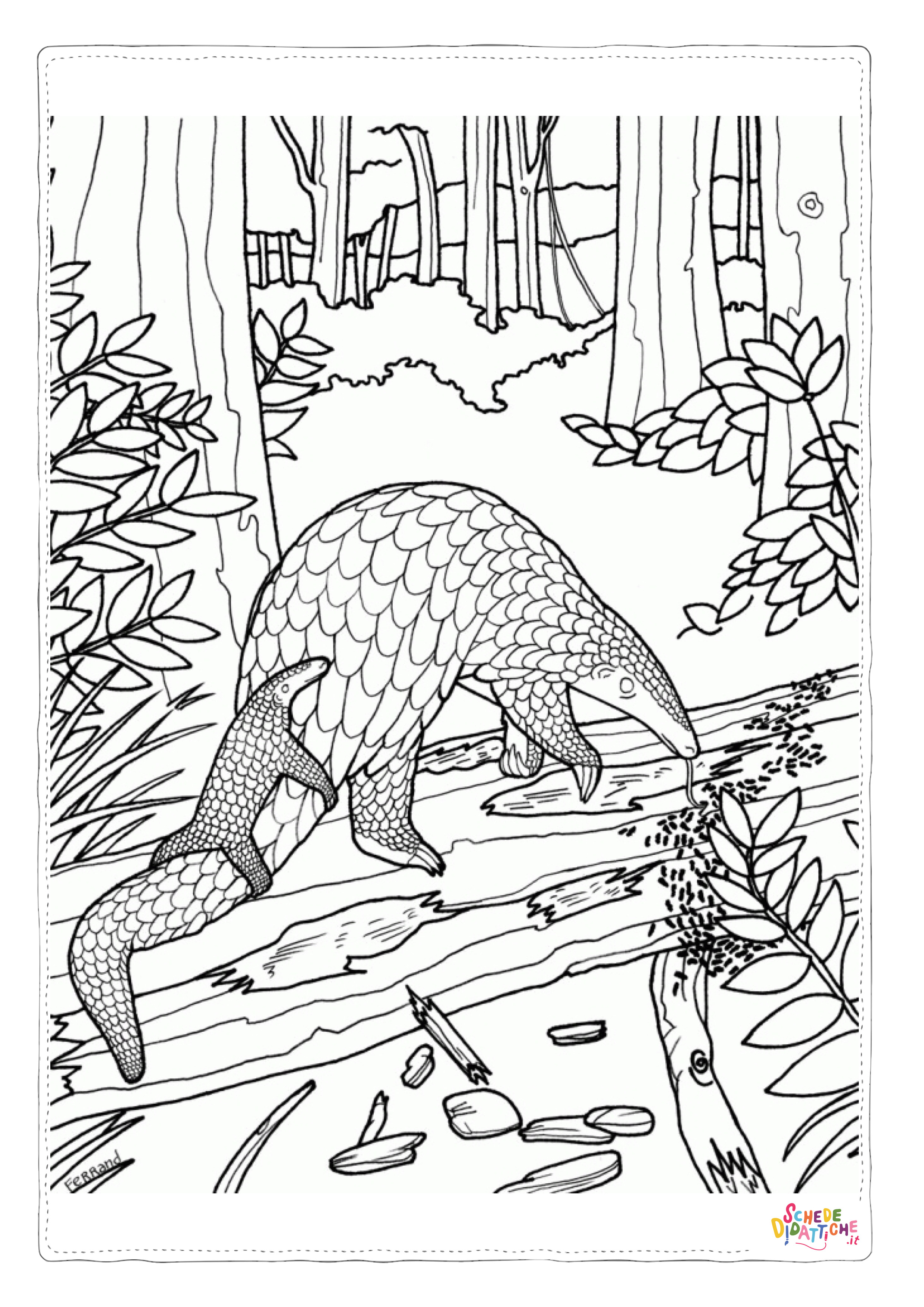 Disegno "Disegno di armadillo da stampare e colorare" Disegno di armadillo da stampare e colorare