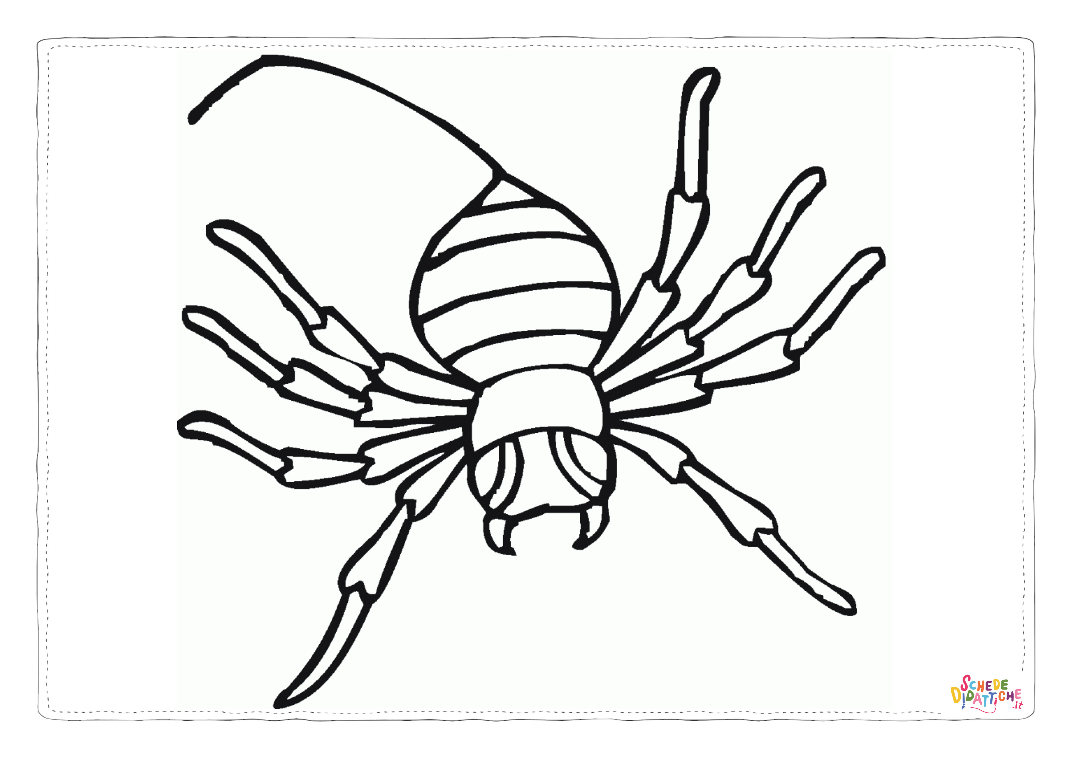 Disegno di ragno da stampare e colorare 59