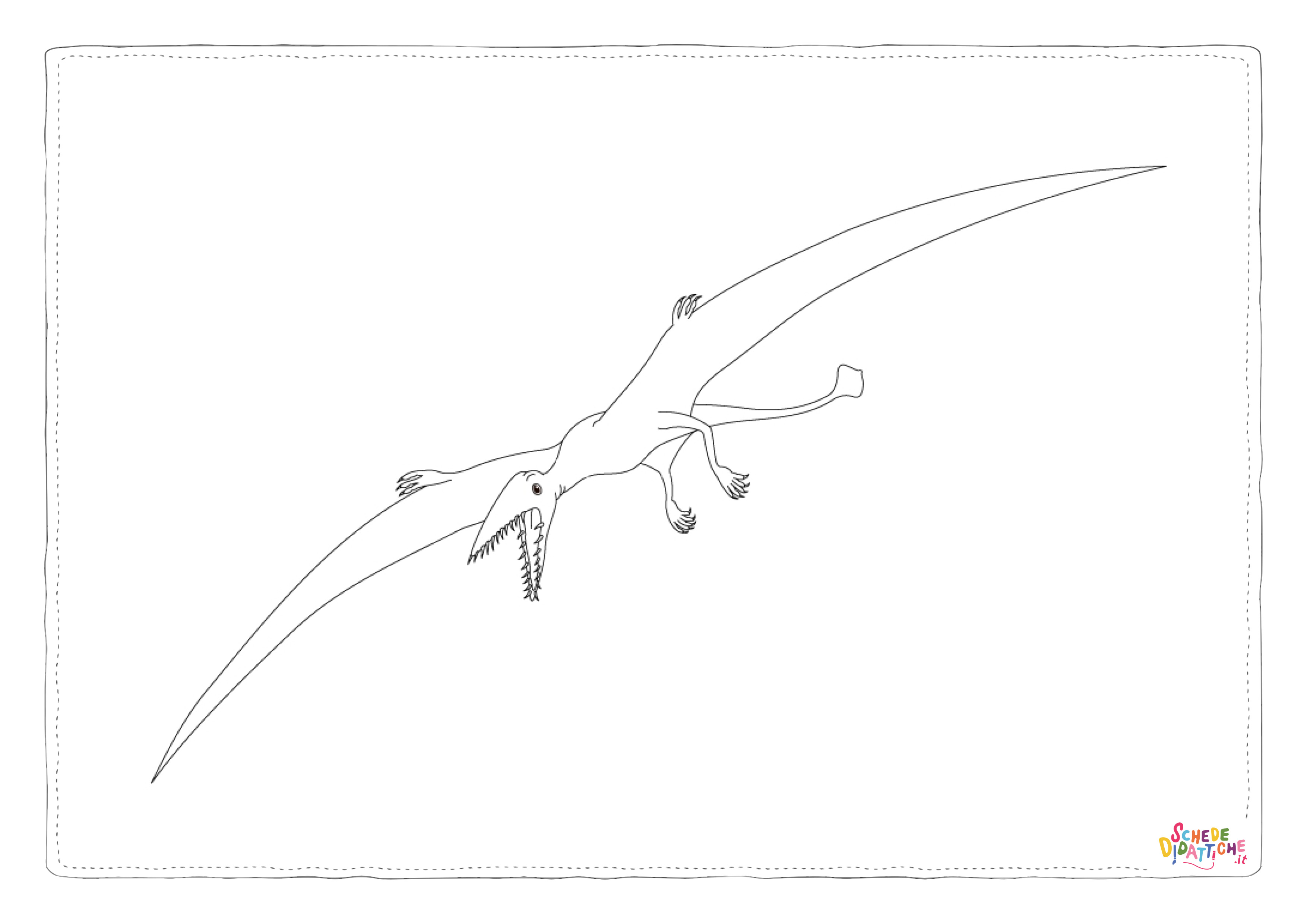Disegno "Disegno di Pterodattilo da stampare e colorare 13" Disegno di Pterodattilo da stampare e colorare 13