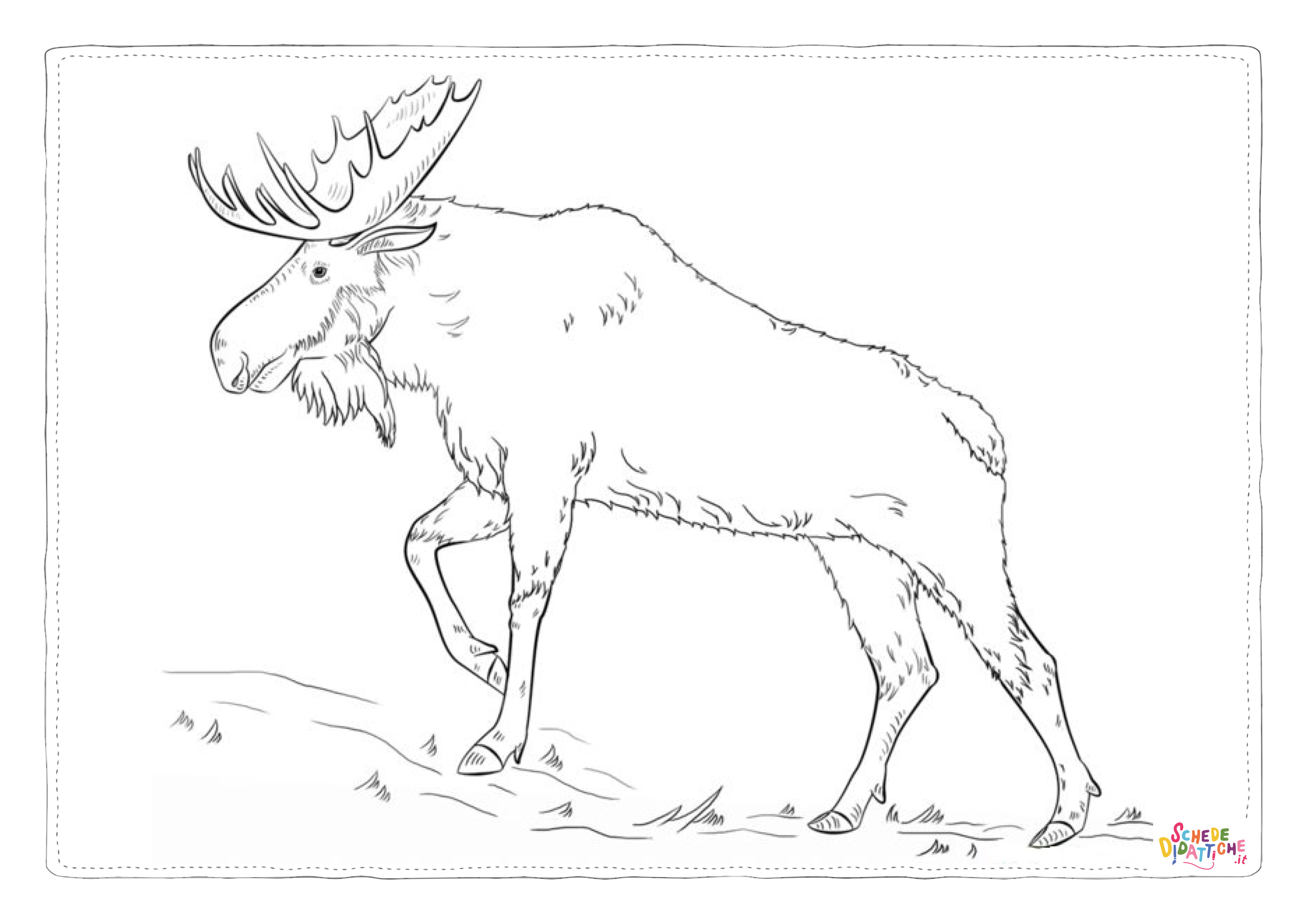 Disegno "Disegno di alce da stampare e colorare 13" Disegno di alce da stampare e colorare 13