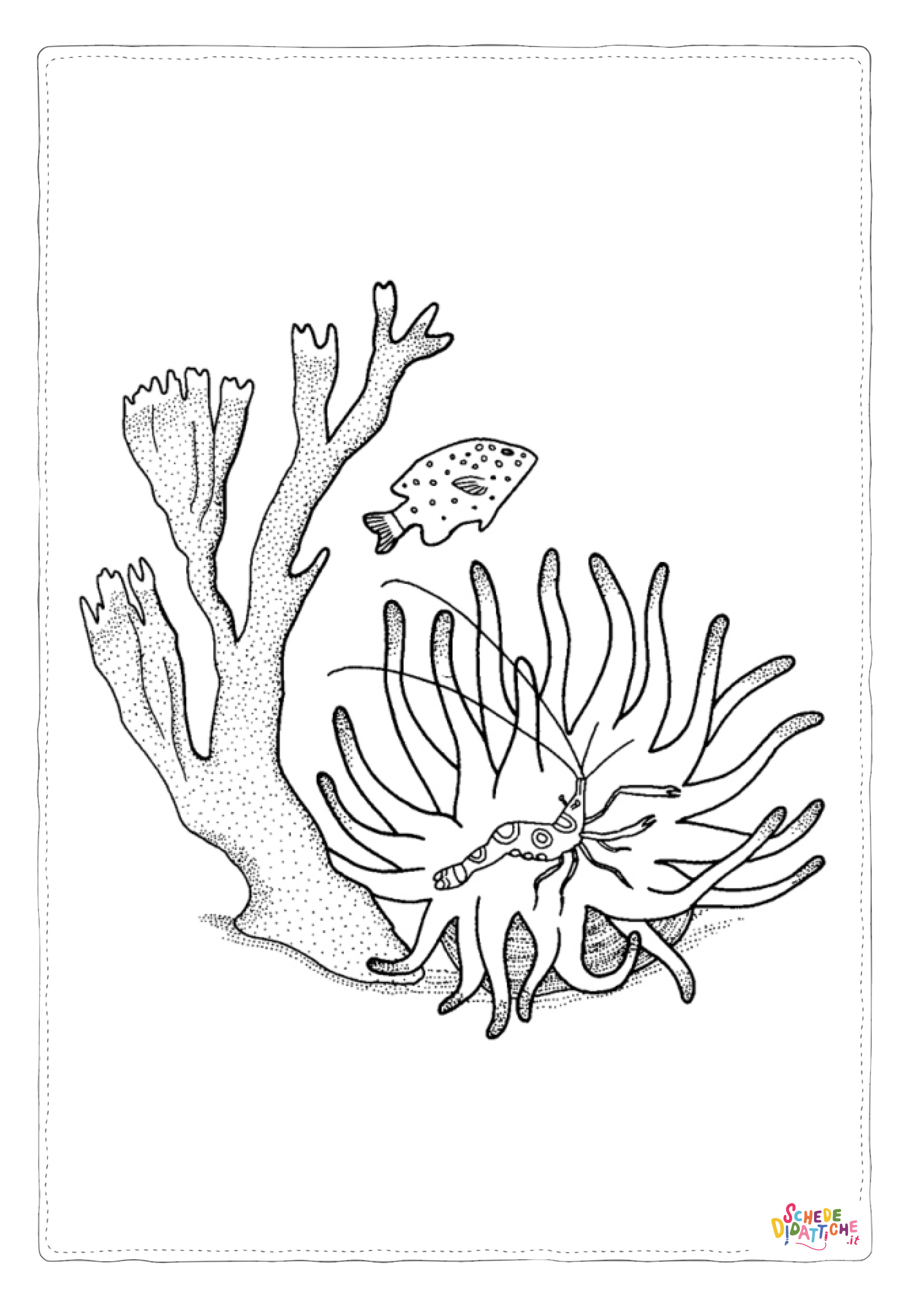 Disegno "Disegno di corallo da stampare e colorare 2" Disegno di corallo da stampare e colorare 2