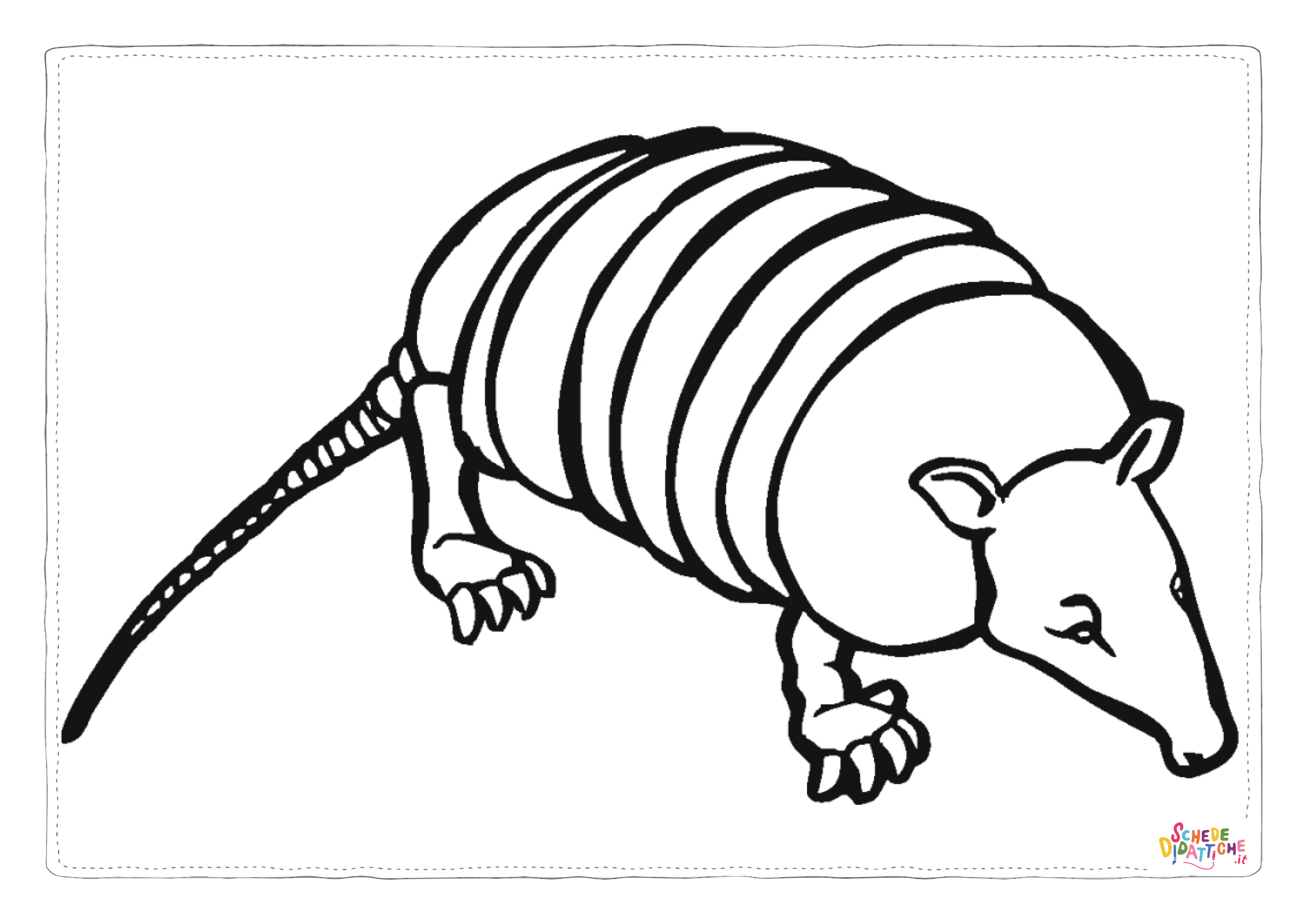 Disegno "Disegno di armadillo da stampare e colorare 1" Disegno di armadillo da stampare e colorare 1