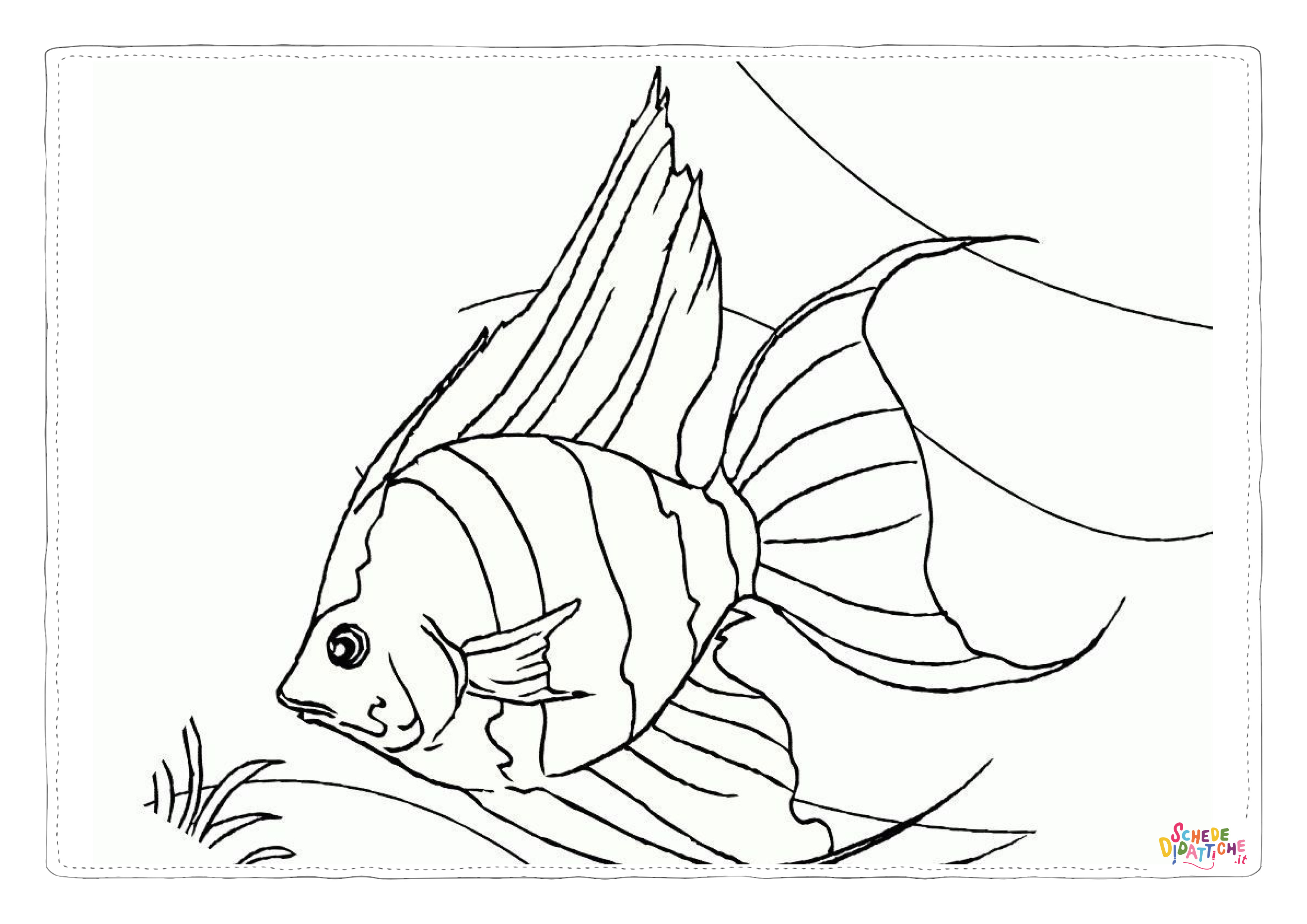 Disegno "Disegno di pesce da stampare e colorare 302" Disegno di pesce da stampare e colorare 302