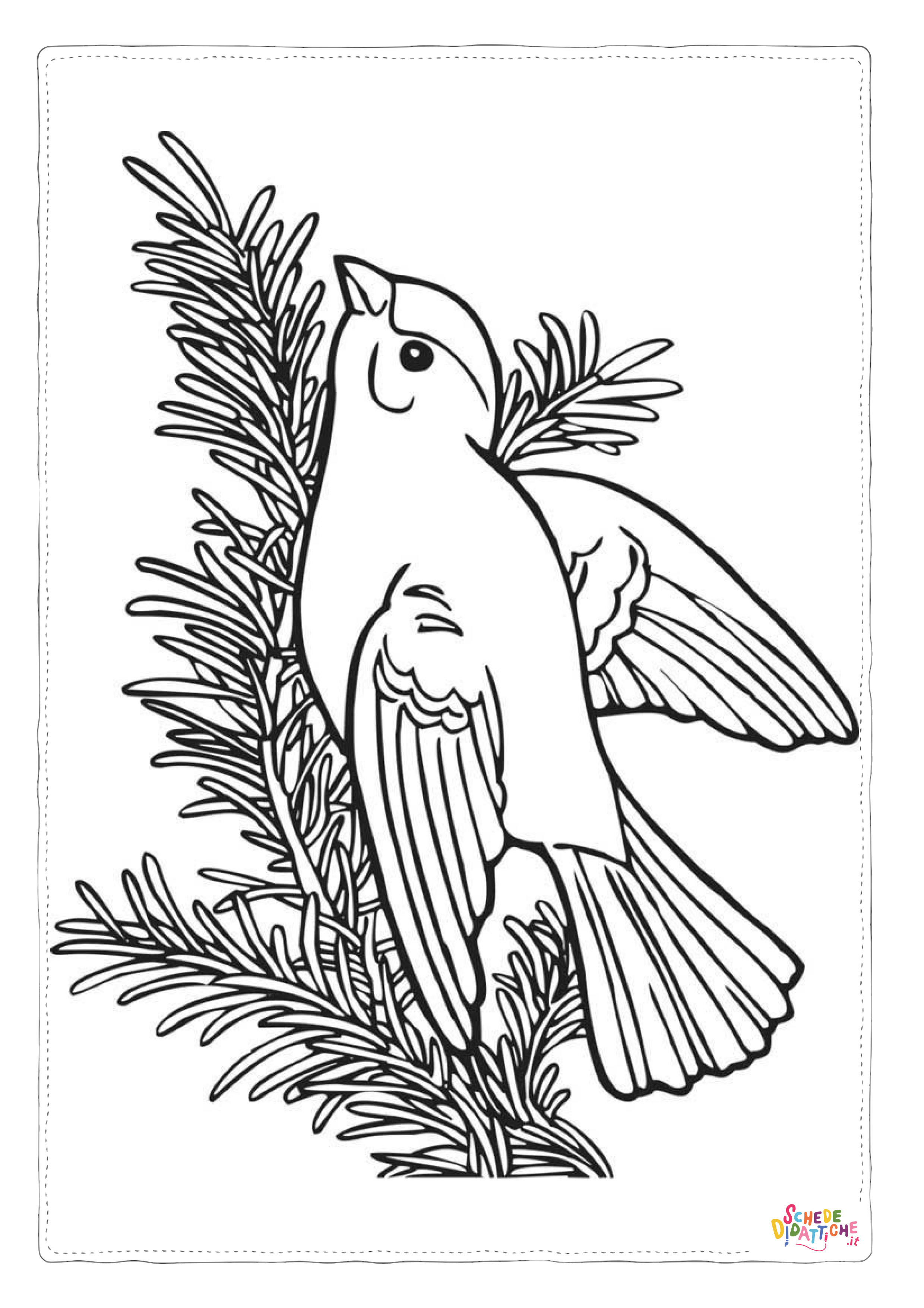Disegno "Disegno di passero da stampare e colorare 48" Disegno di passero da stampare e colorare 48