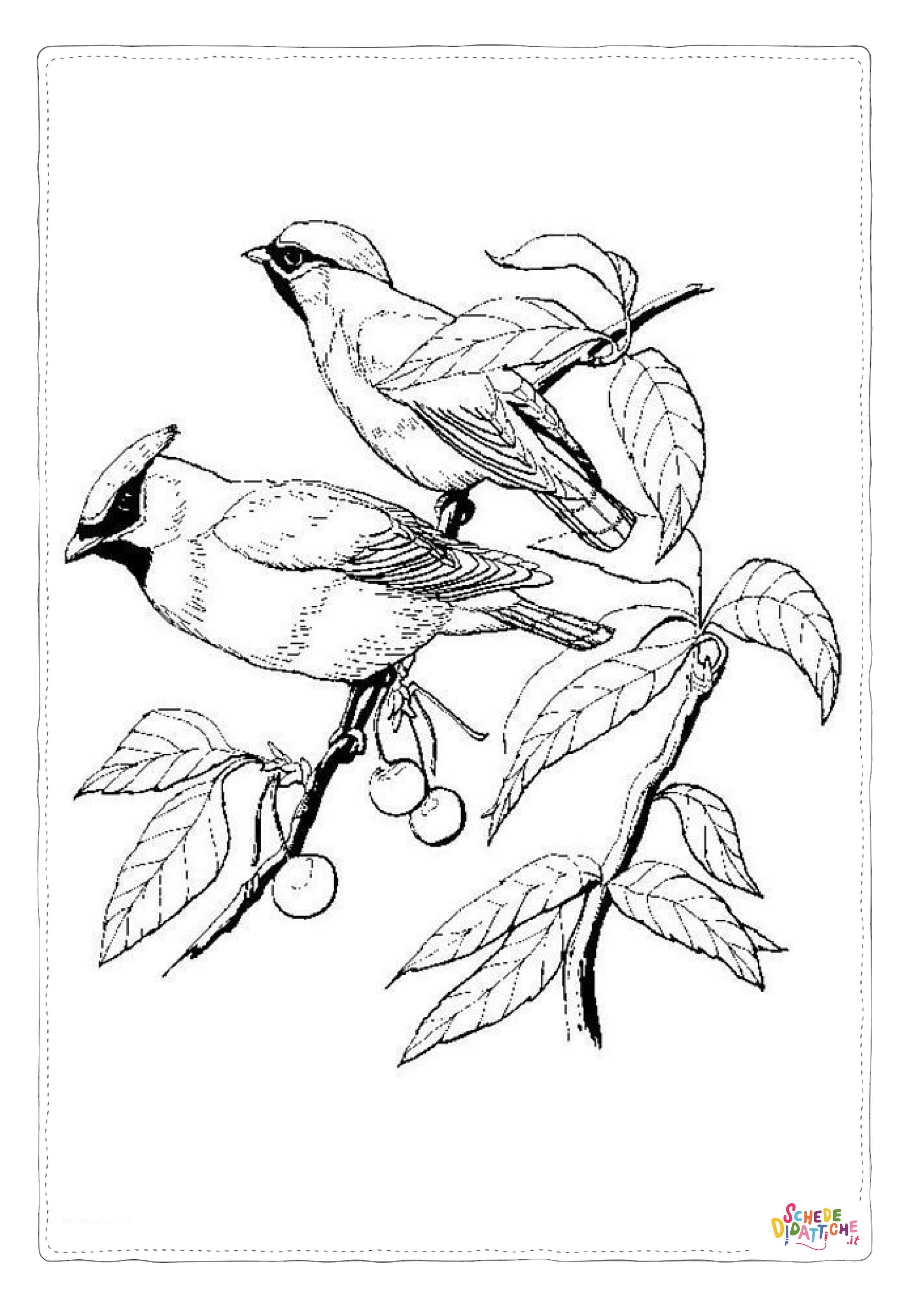 Disegno "Disegno di uccello da stampare e colorare 69" Disegno di uccello da stampare e colorare 69