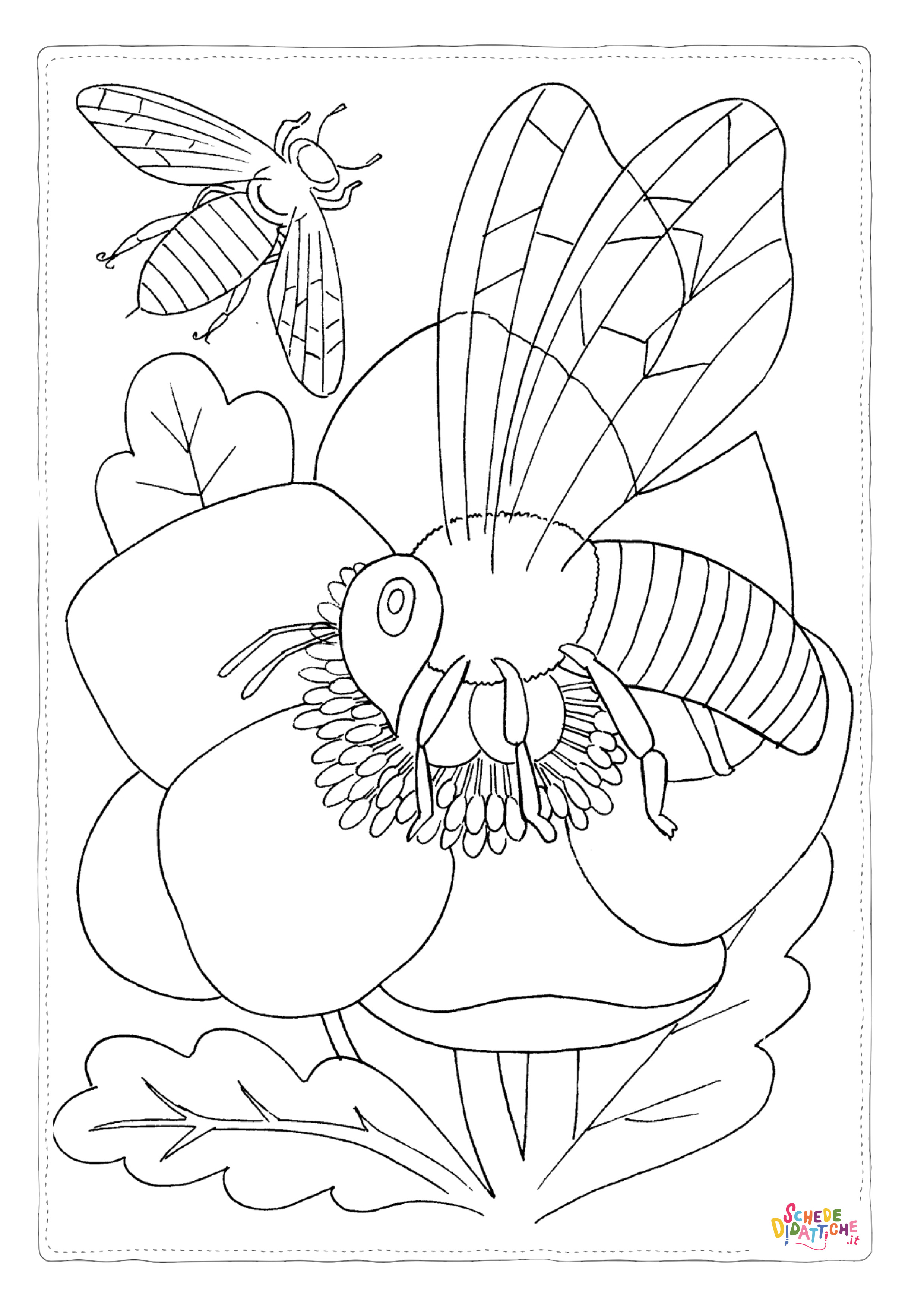 Disegno "Disegno di ape da stampare e colorare 17" Disegno di ape da stampare e colorare 17