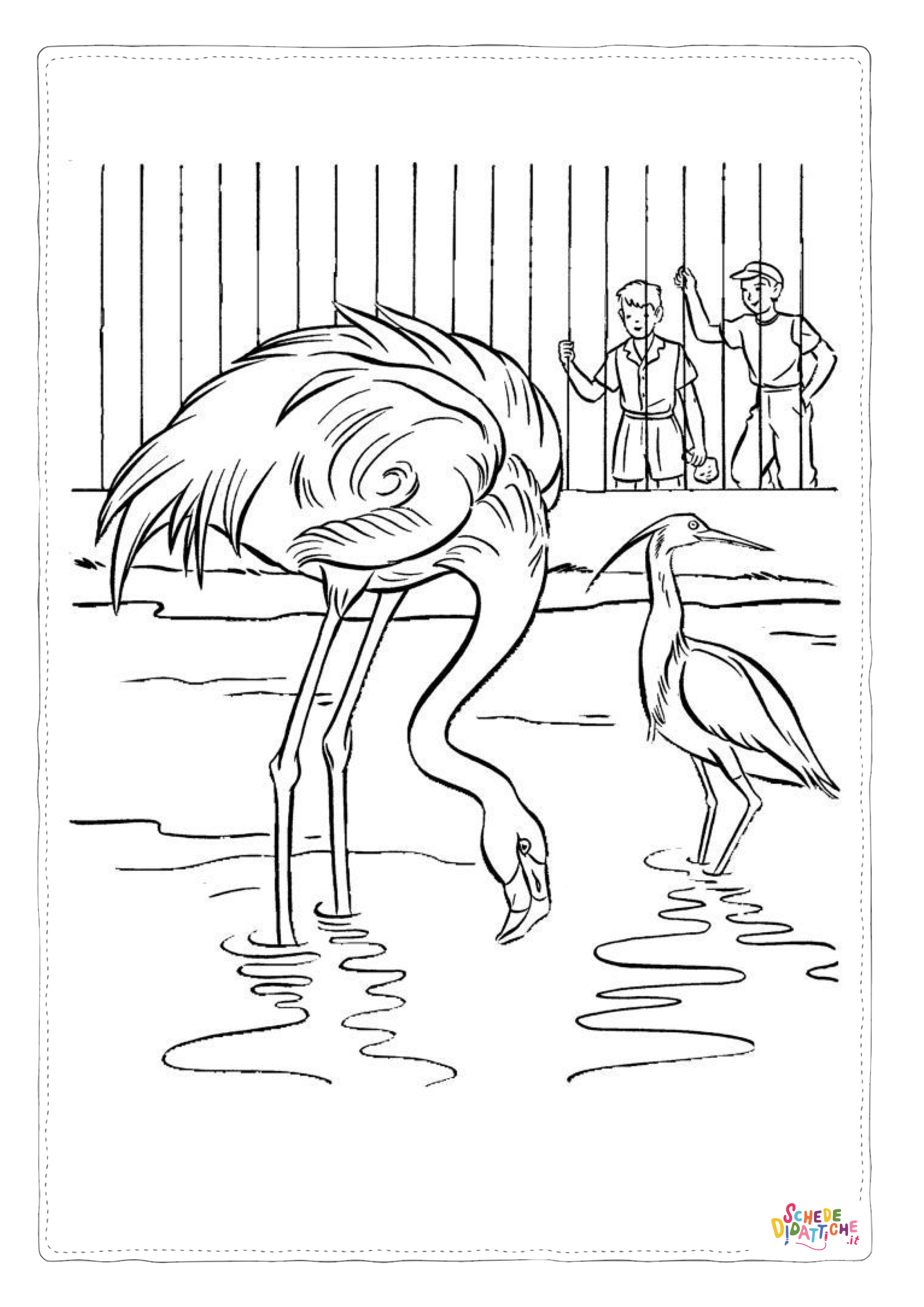 Disegno "Disegno di fenicottero da stampare e colorare 17" Disegno di fenicottero da stampare e colorare 17