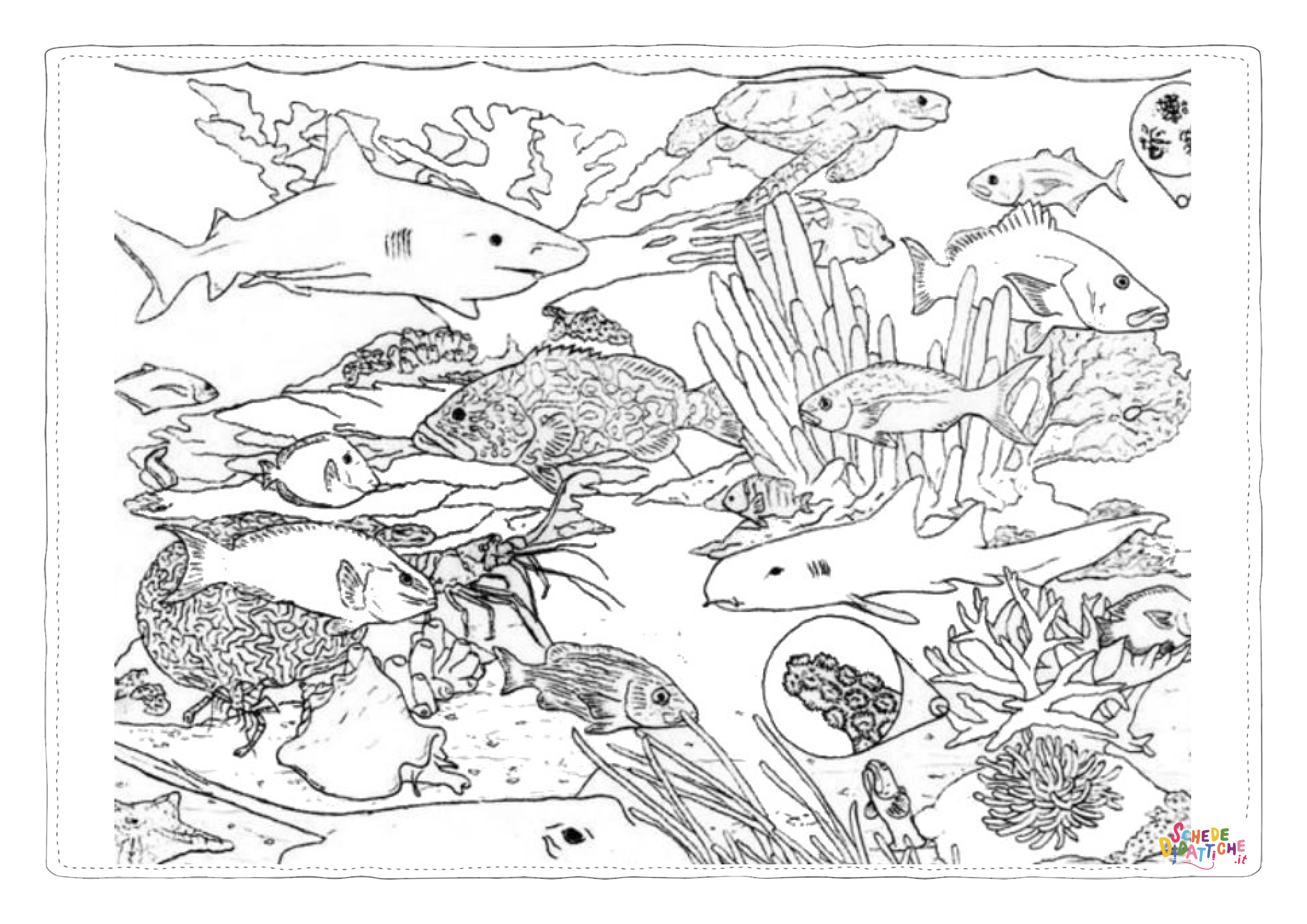 Disegno "Disegno di corallo da stampare e colorare 3" Disegno di corallo da stampare e colorare 3