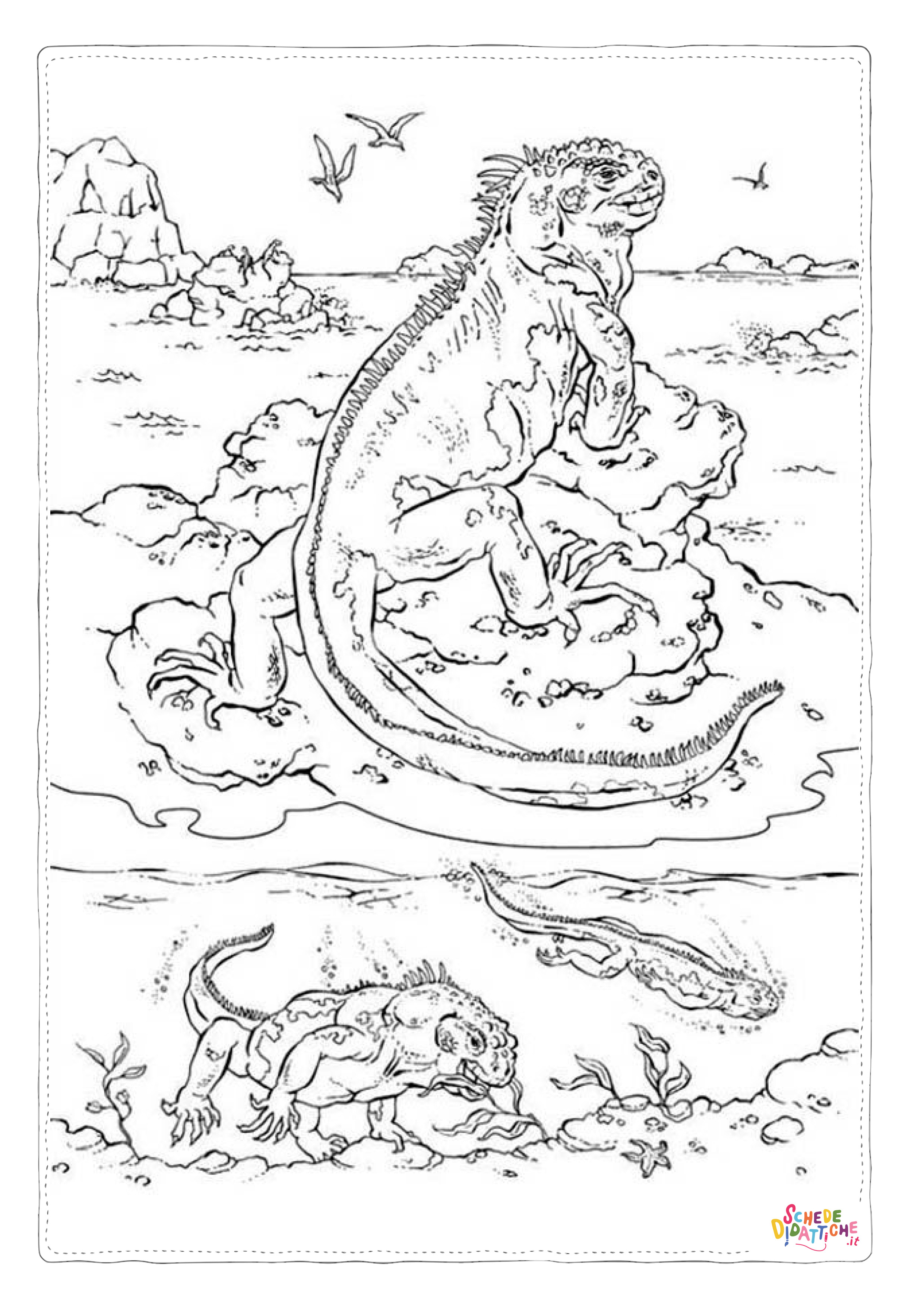 Disegno di iguana da stampare e colorare 9