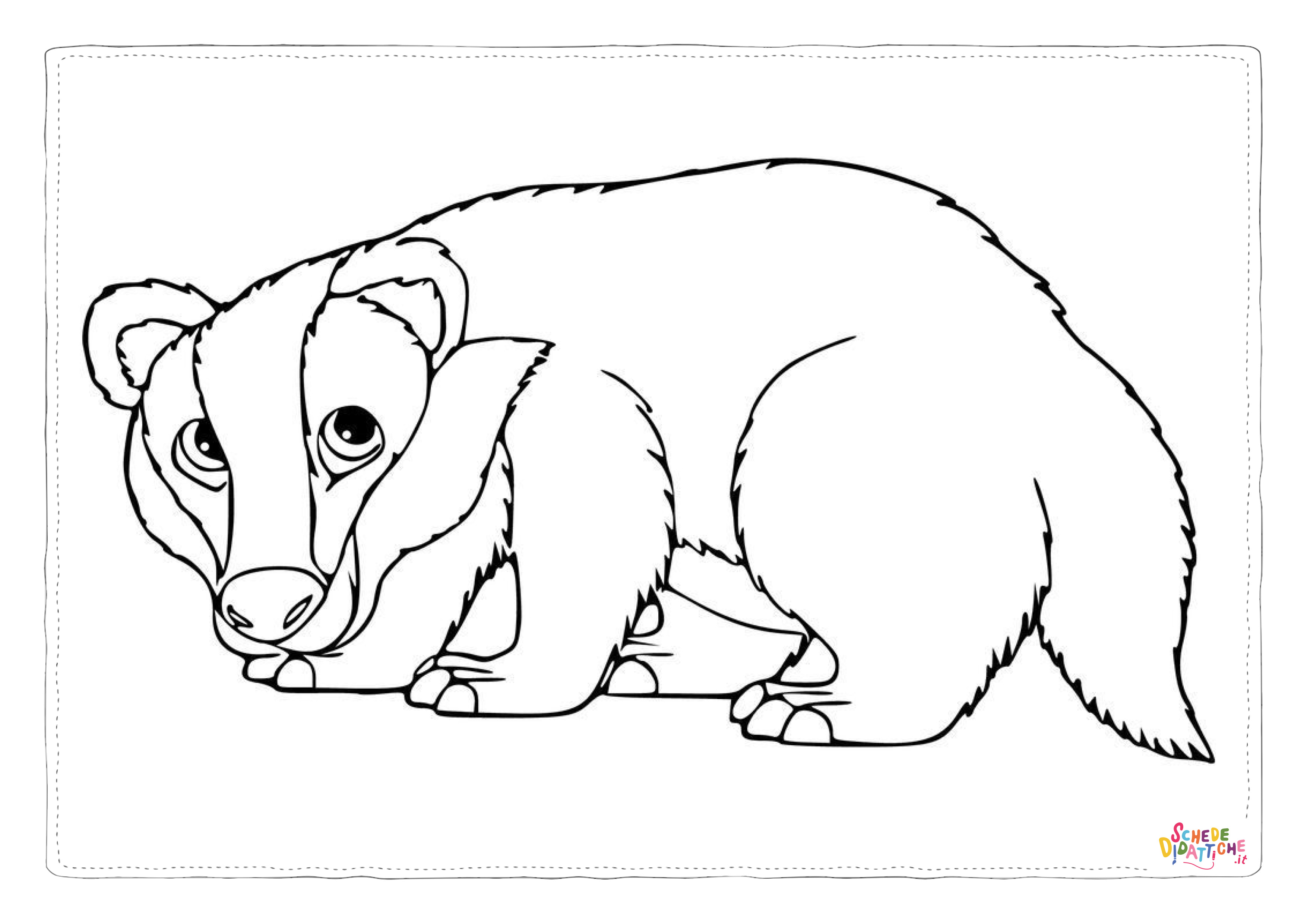 Disegno di opossum da stampare e colorare