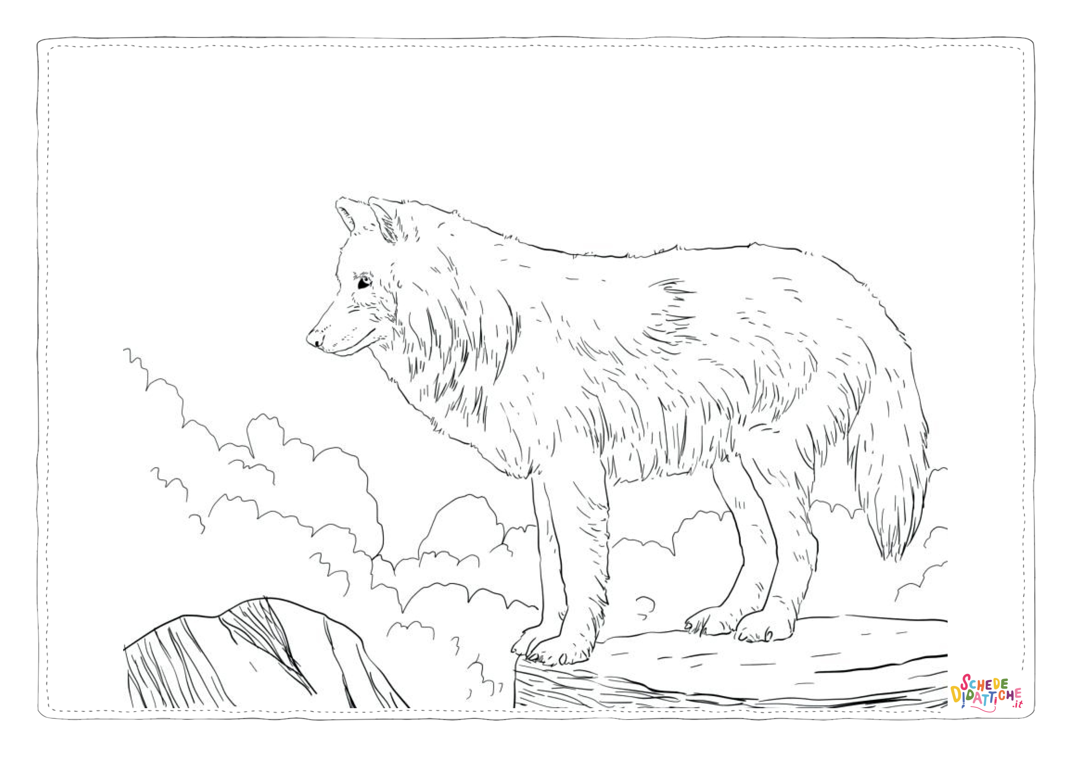 Disegno di lupo da stampare e colorare 42