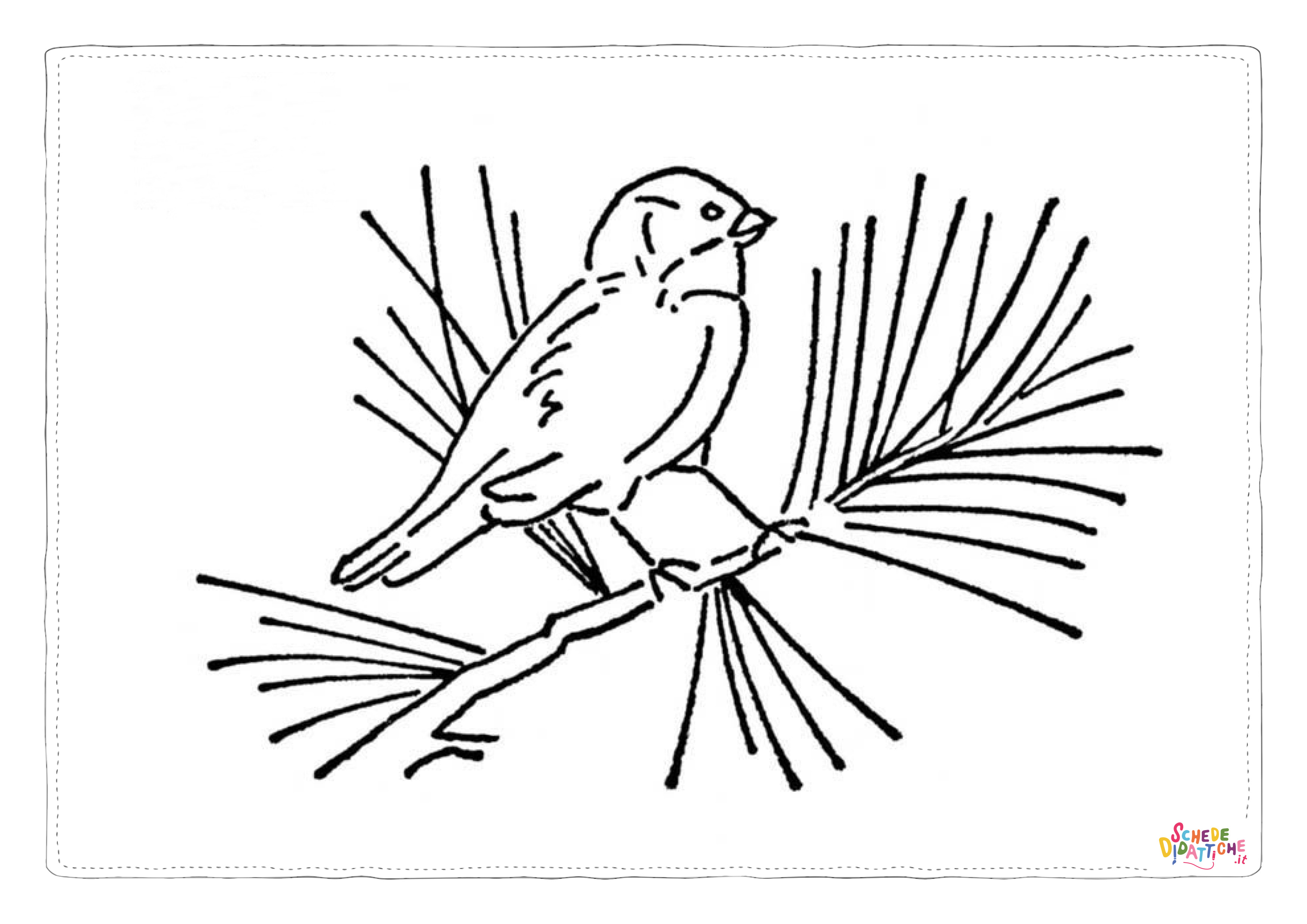 Disegno di uccello da stampare e colorare 43