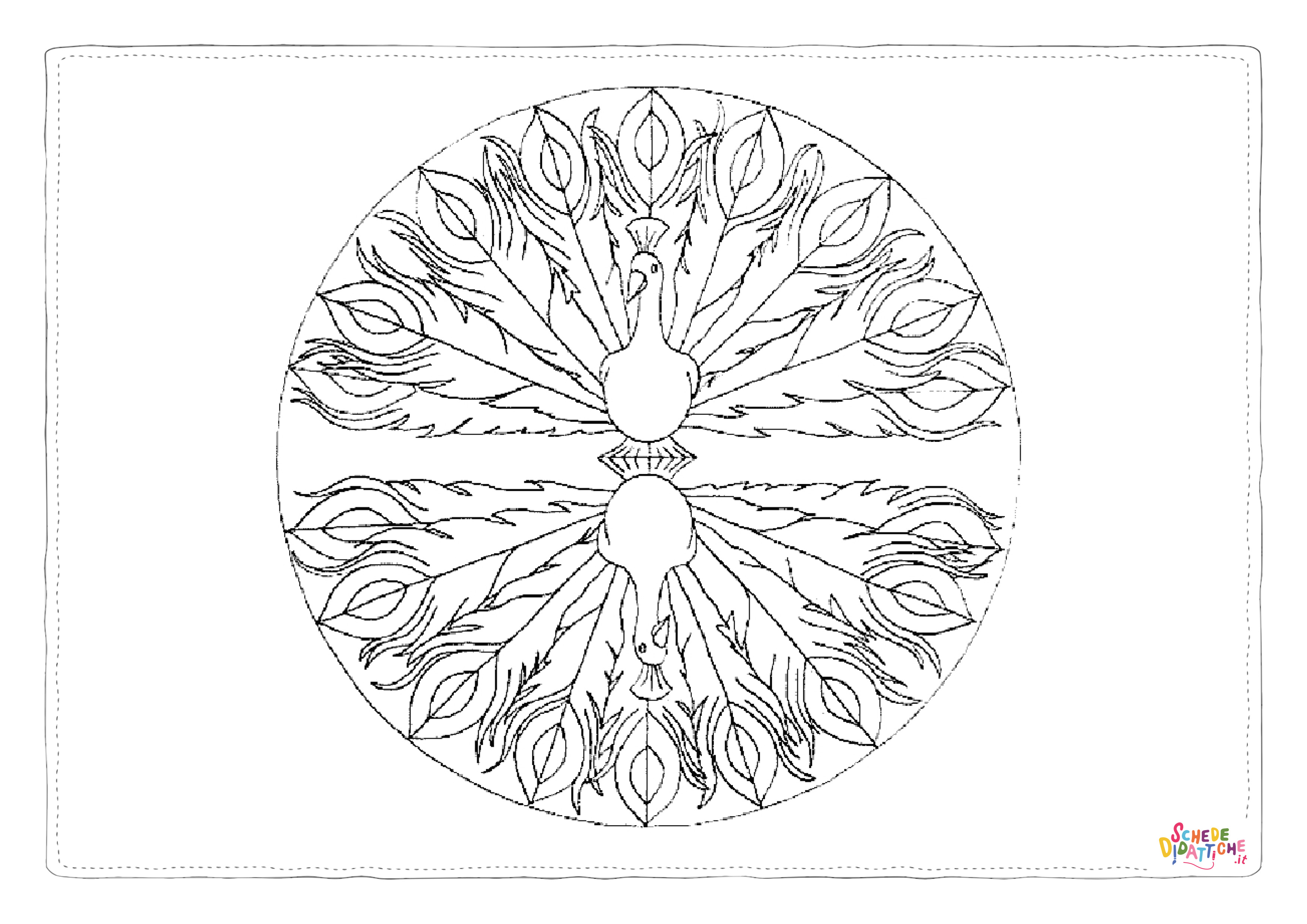 Disegno di pavone da stampare e colorare 5