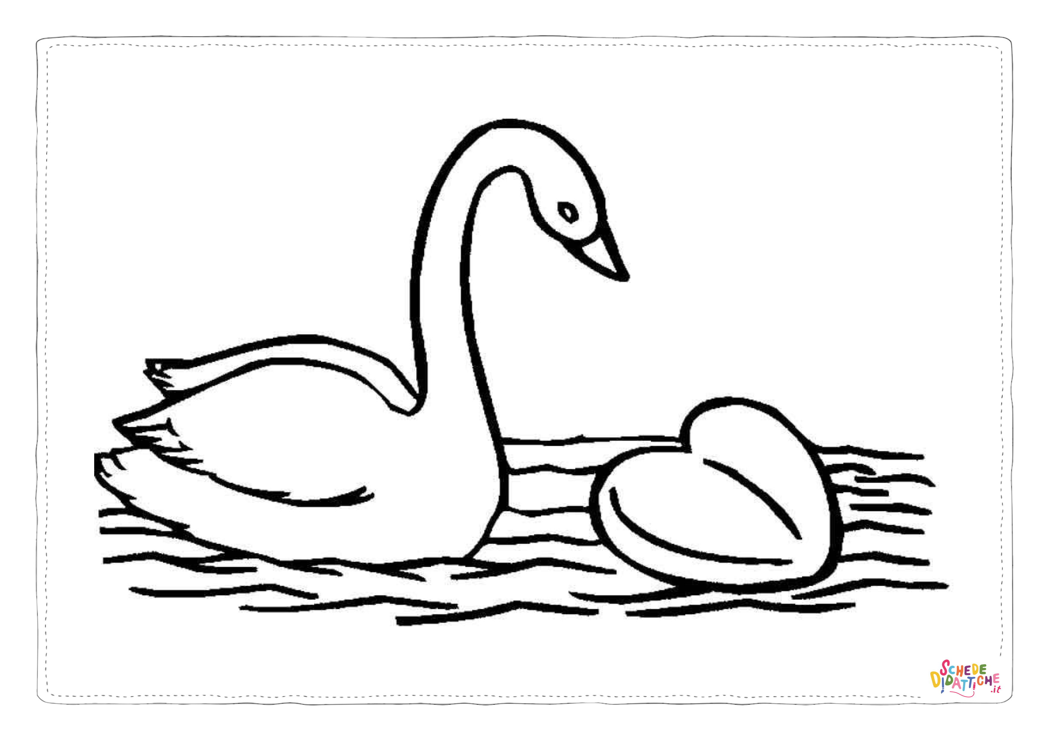Disegno di cigno da stampare e colorare 18