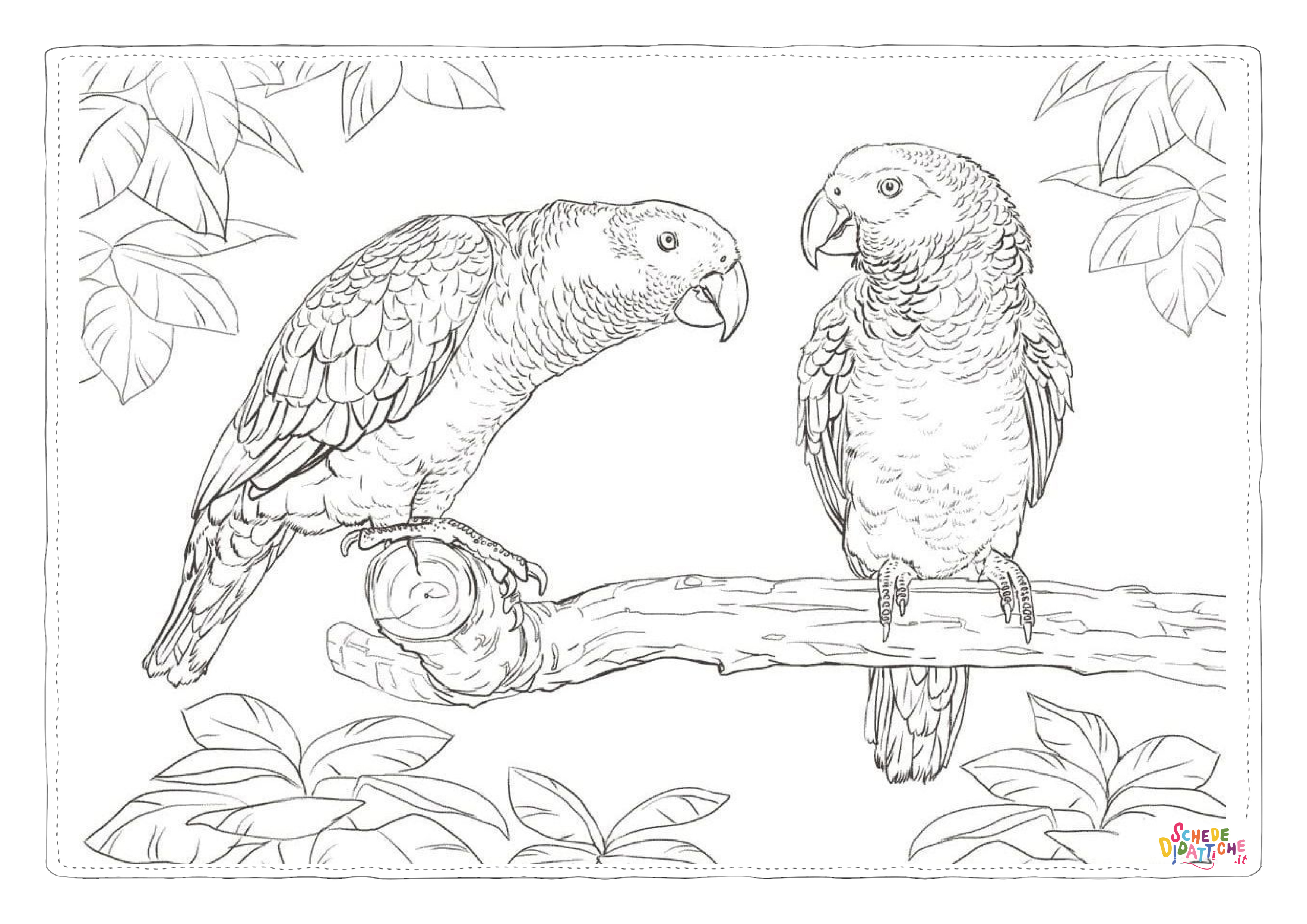 Disegno "Disegno di pappagallo da stampare e colorare 136" Disegno di pappagallo da stampare e colorare 136