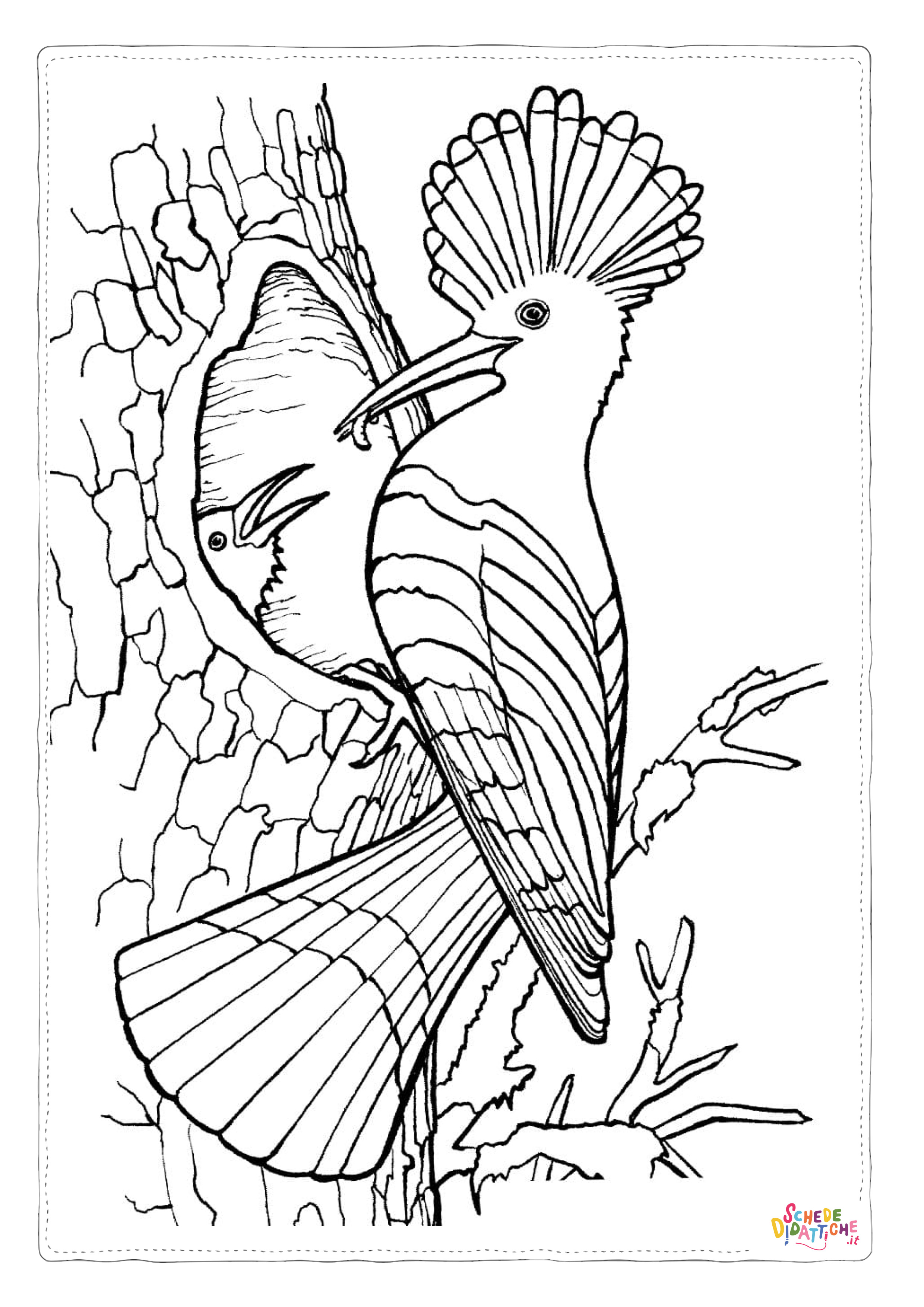 Disegno "Disegno di pappagallo da stampare e colorare 186" Disegno di pappagallo da stampare e colorare 186