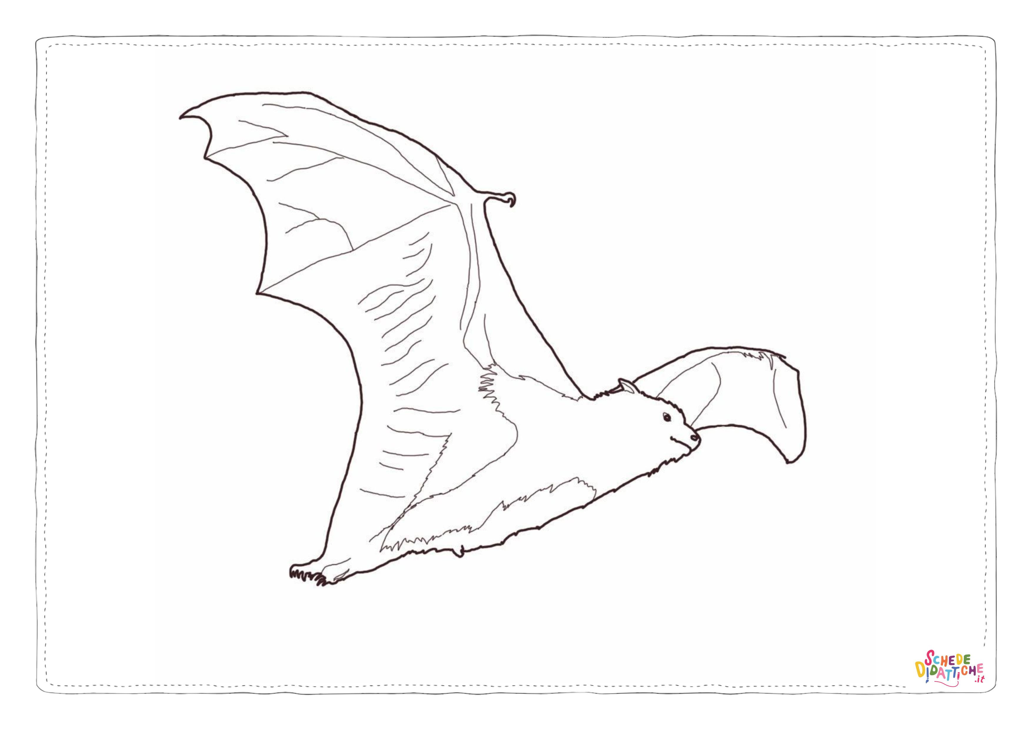 Disegno di pipistrello da stampare e colorare 25