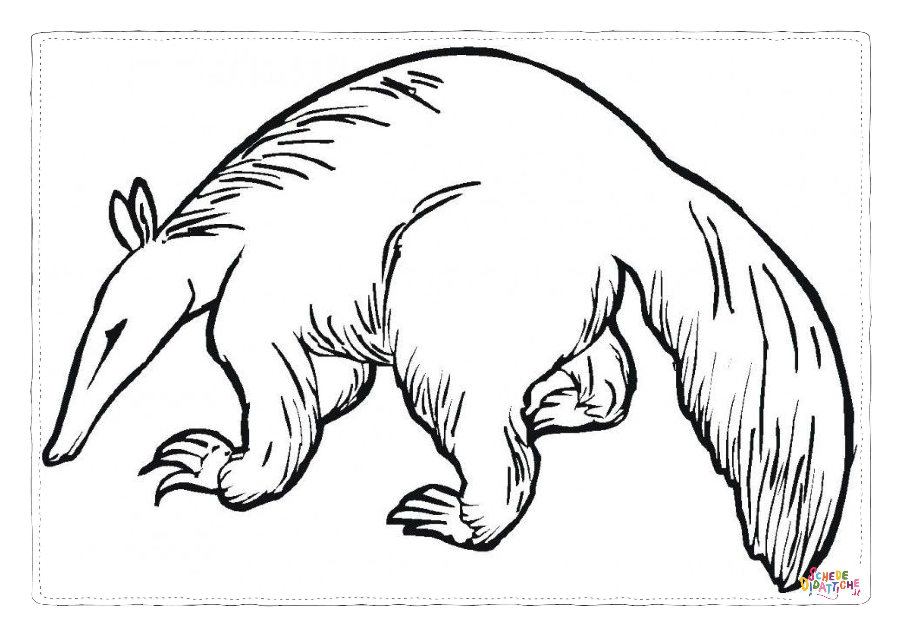 Disegno di formichiere da stampare e colorare 4
