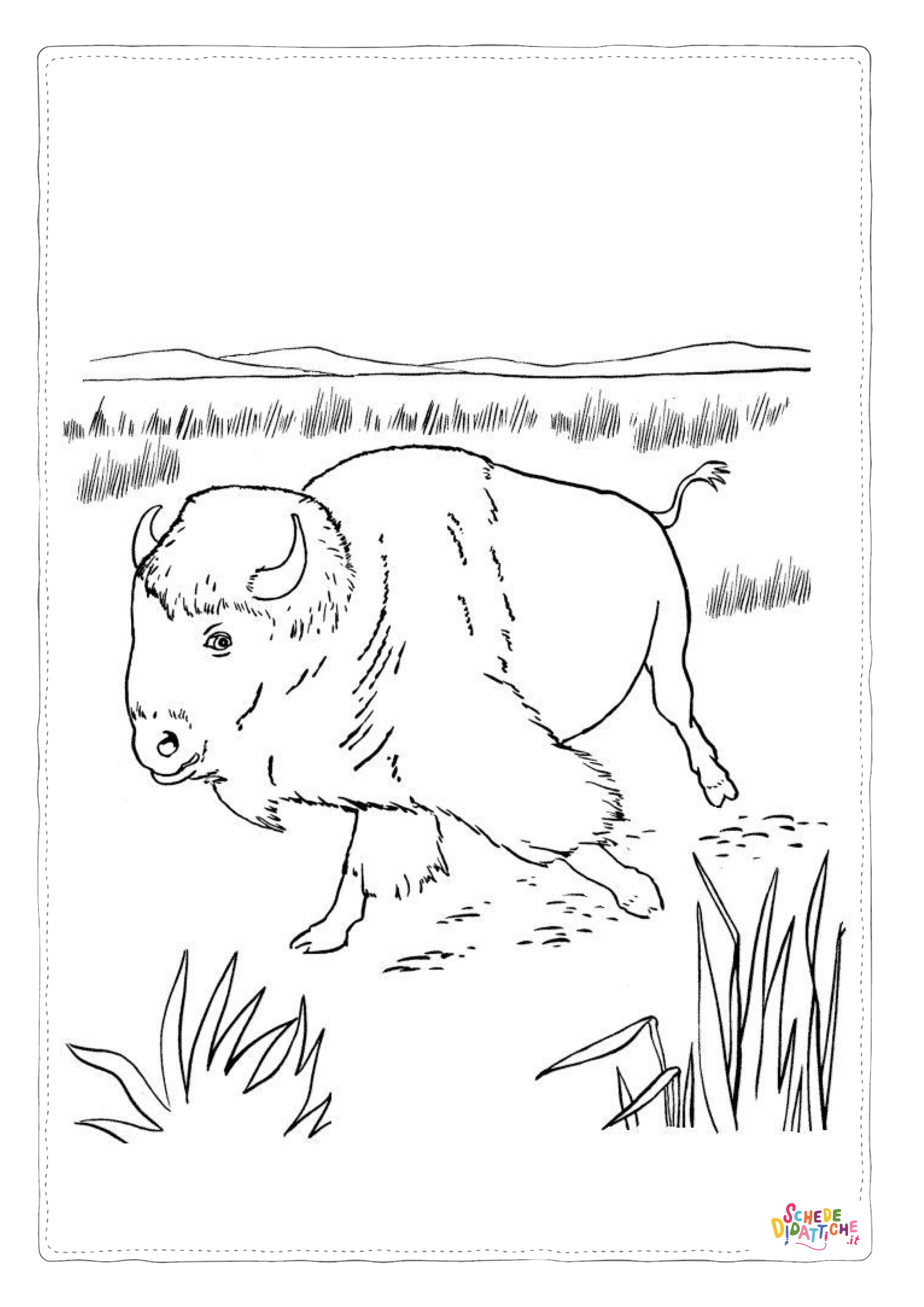 Disegno "Disegno di bisonte da stampare e colorare 19" Disegno di bisonte da stampare e colorare 19