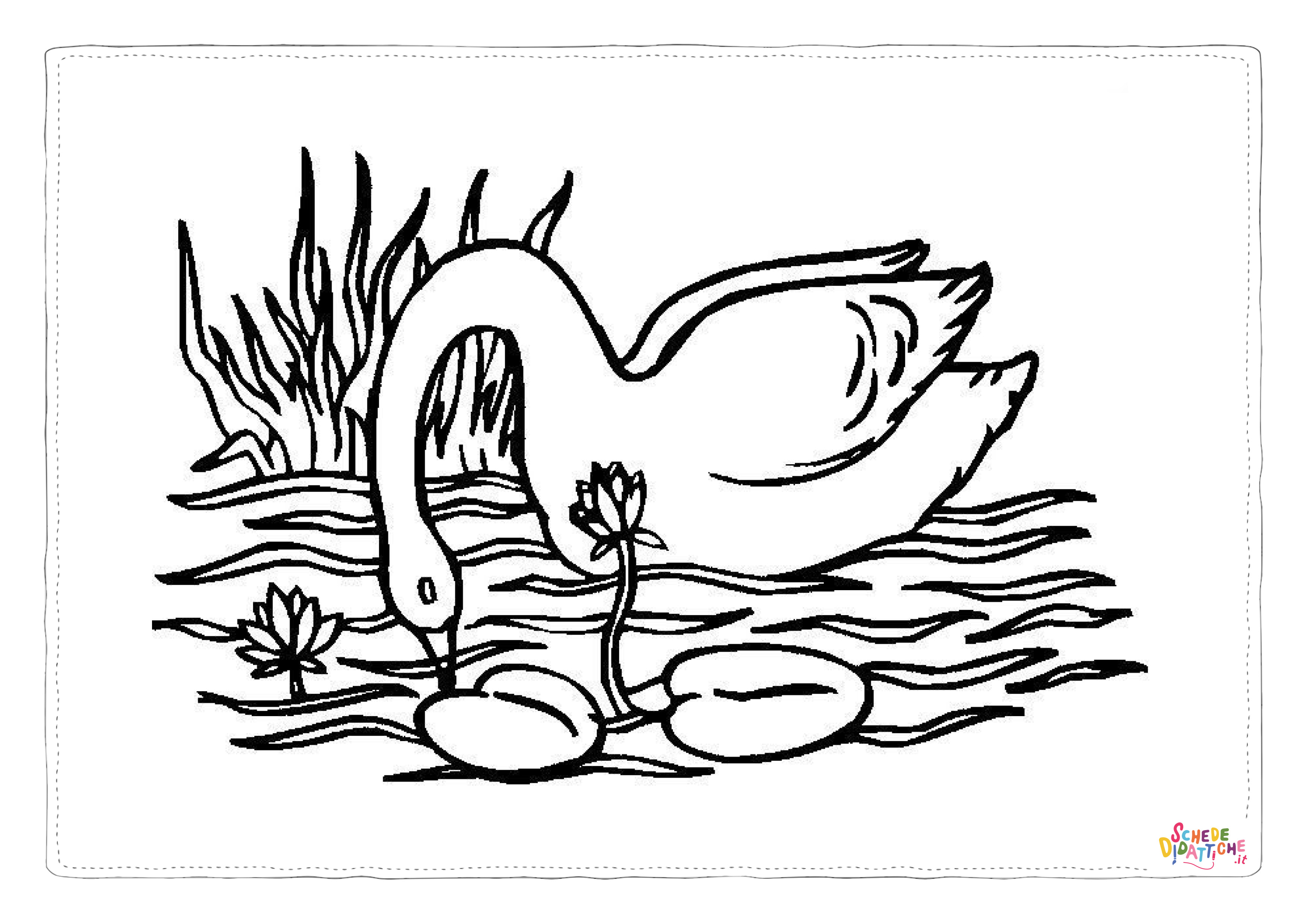 Disegno di cigno da stampare e colorare 21